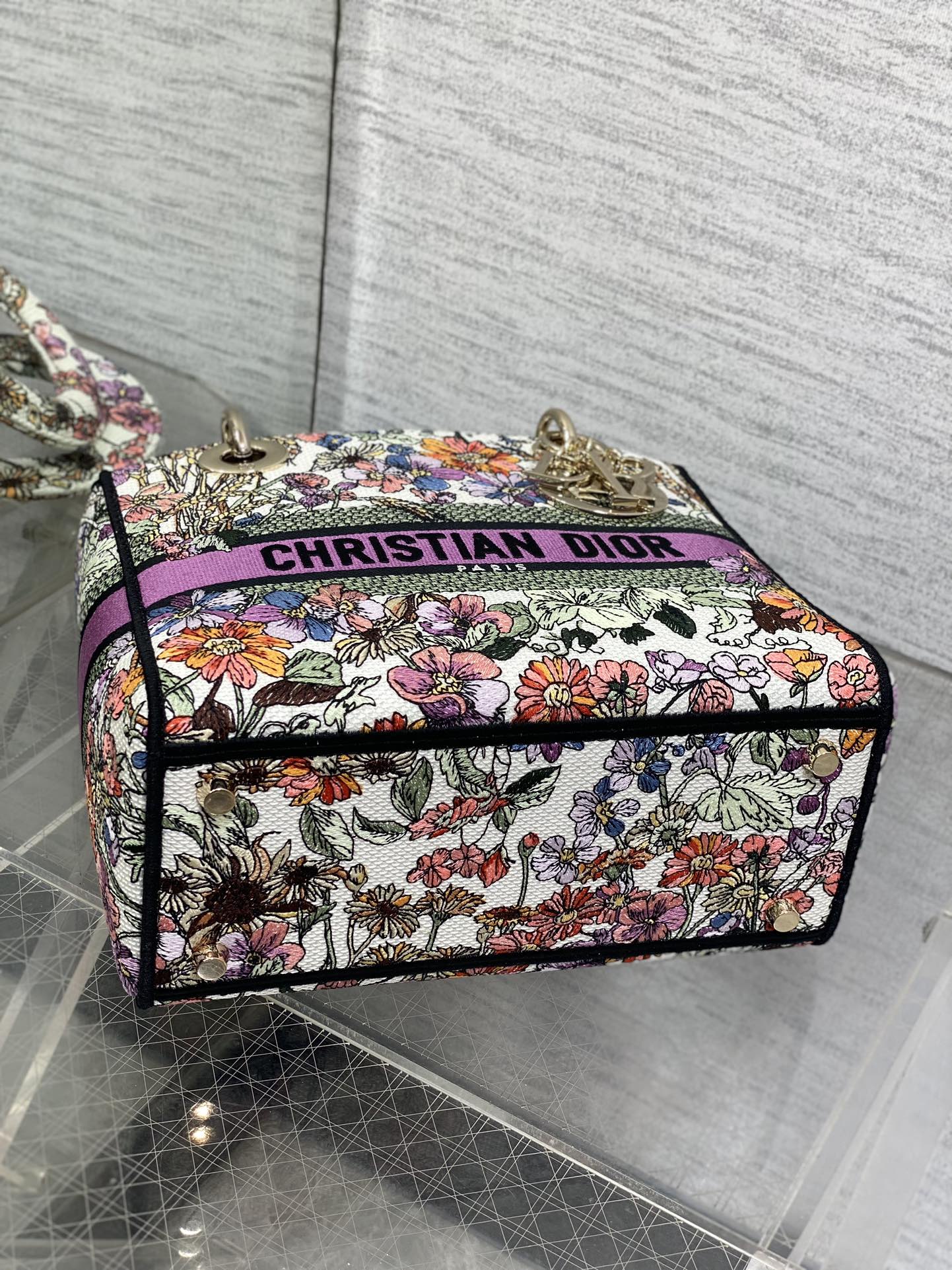 BAG-DIOR-W-LY-073