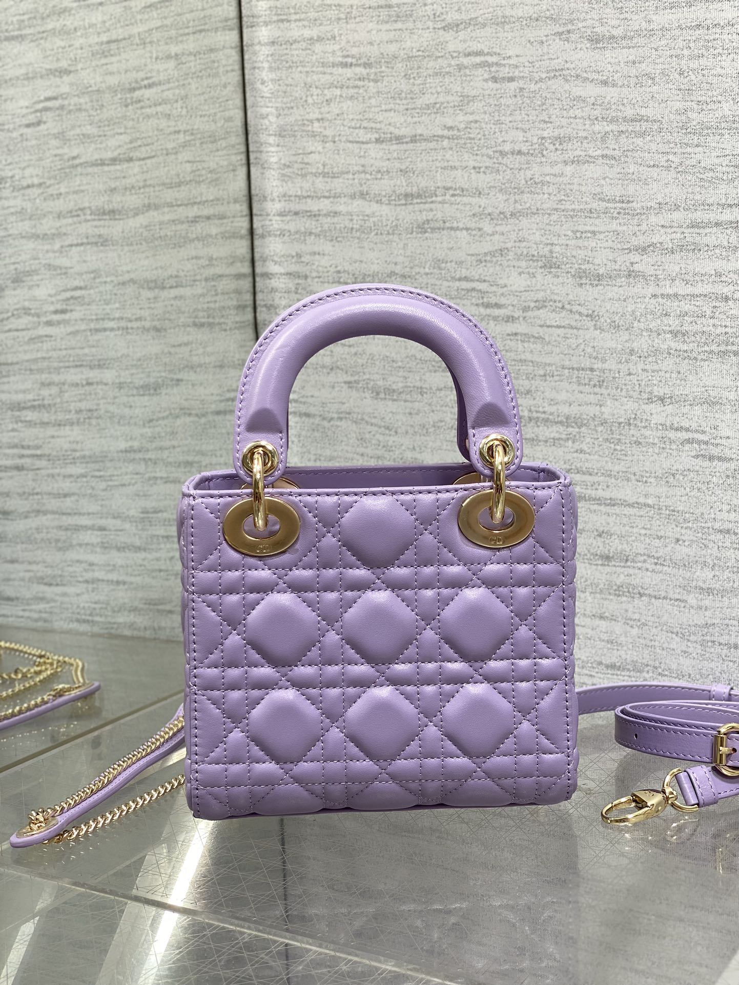 BAG-DIOR-W-LY-012
