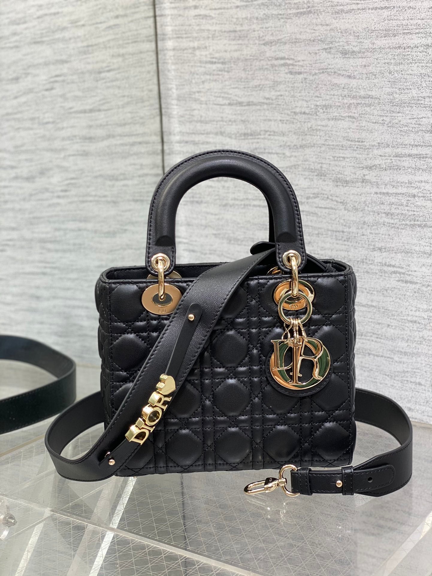 BAG-DIOR-W-LY-662