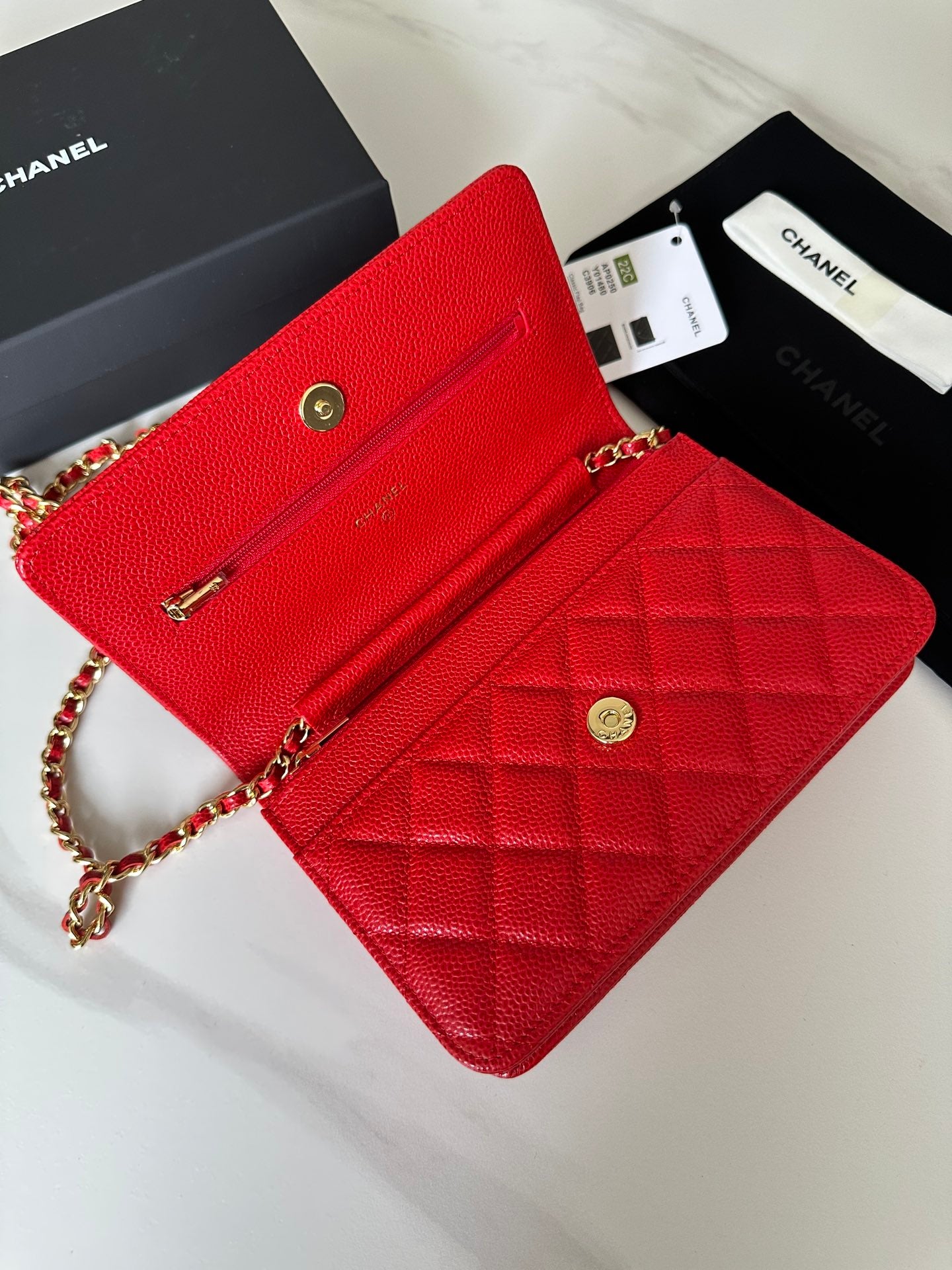 BAG-CHANEL-541