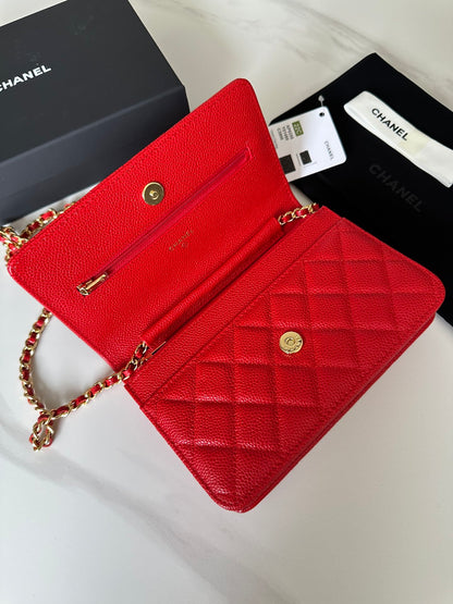 BAG-CHANEL-541