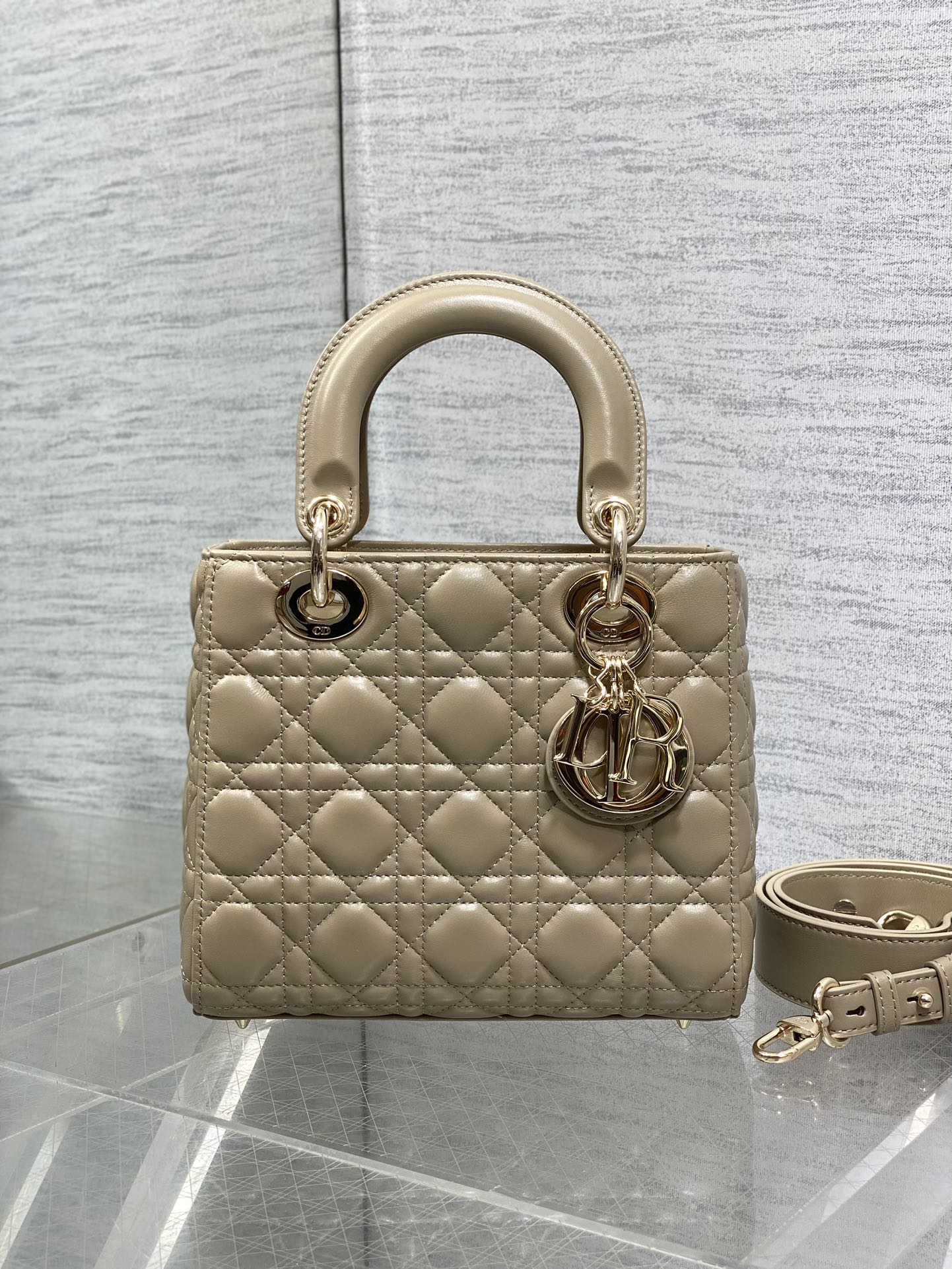 BAG-DIOR-W-LY-766