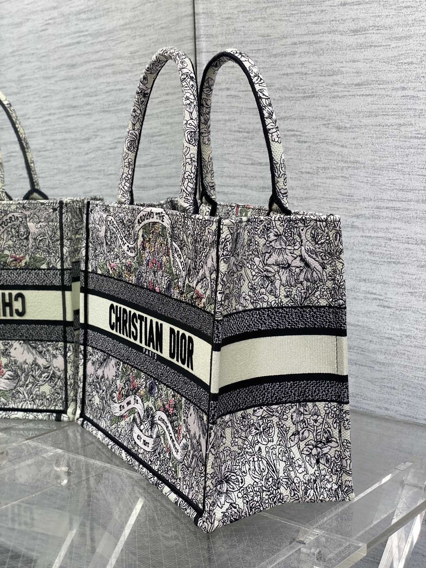 BAG-DIOR-W-LY-197