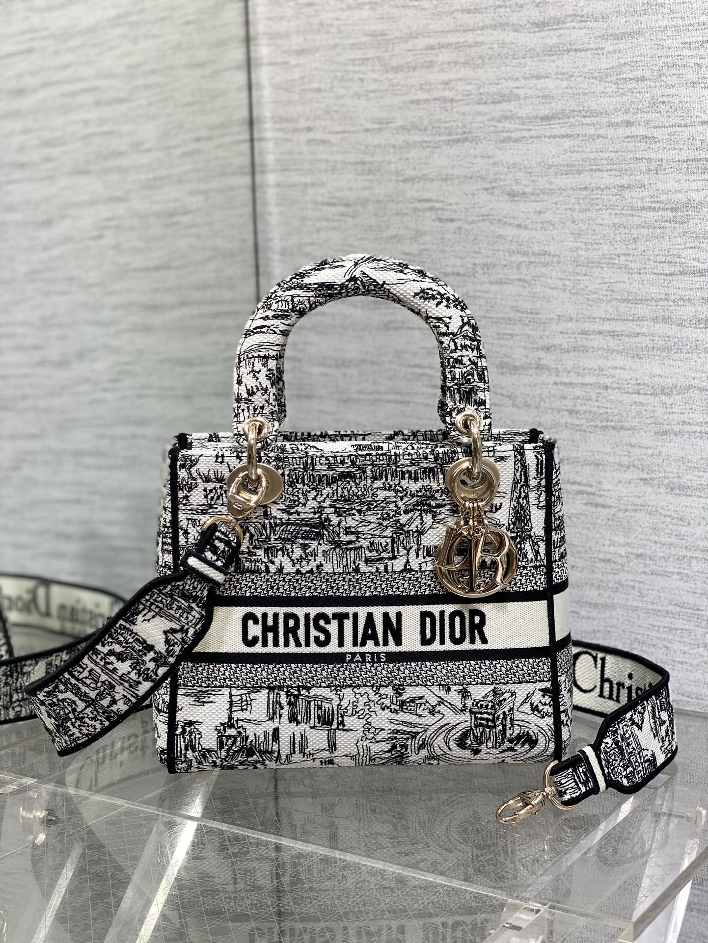 BAG-DIOR-W-LY-491