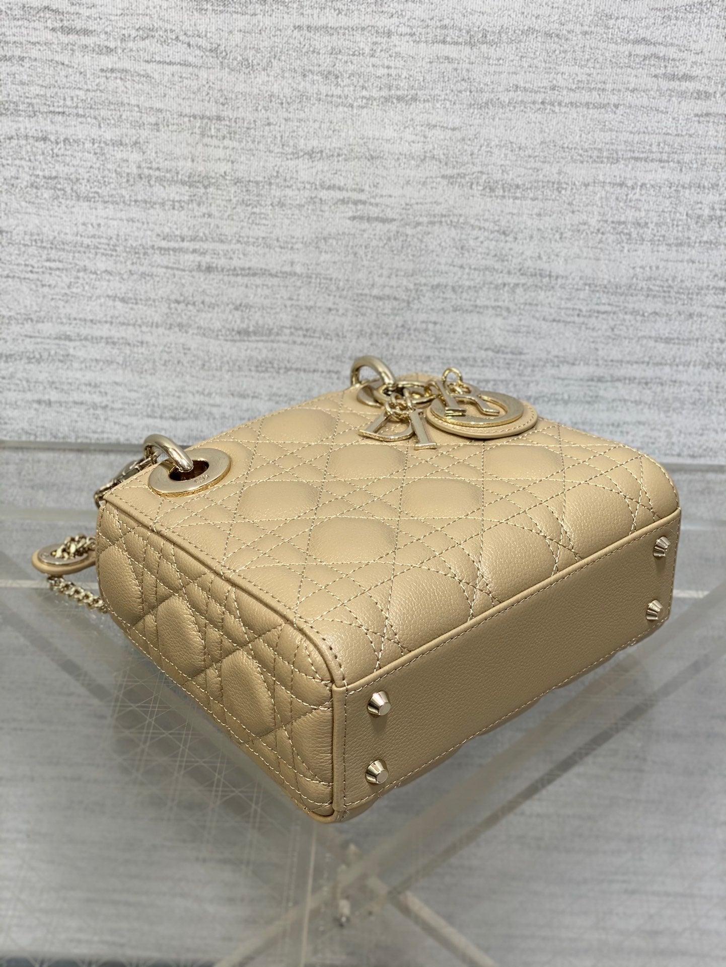 BAG-DIOR-W-LY-527
