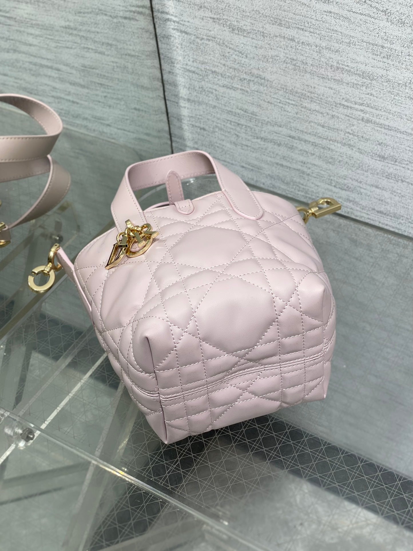 BAG-DIOR-W-LY-056