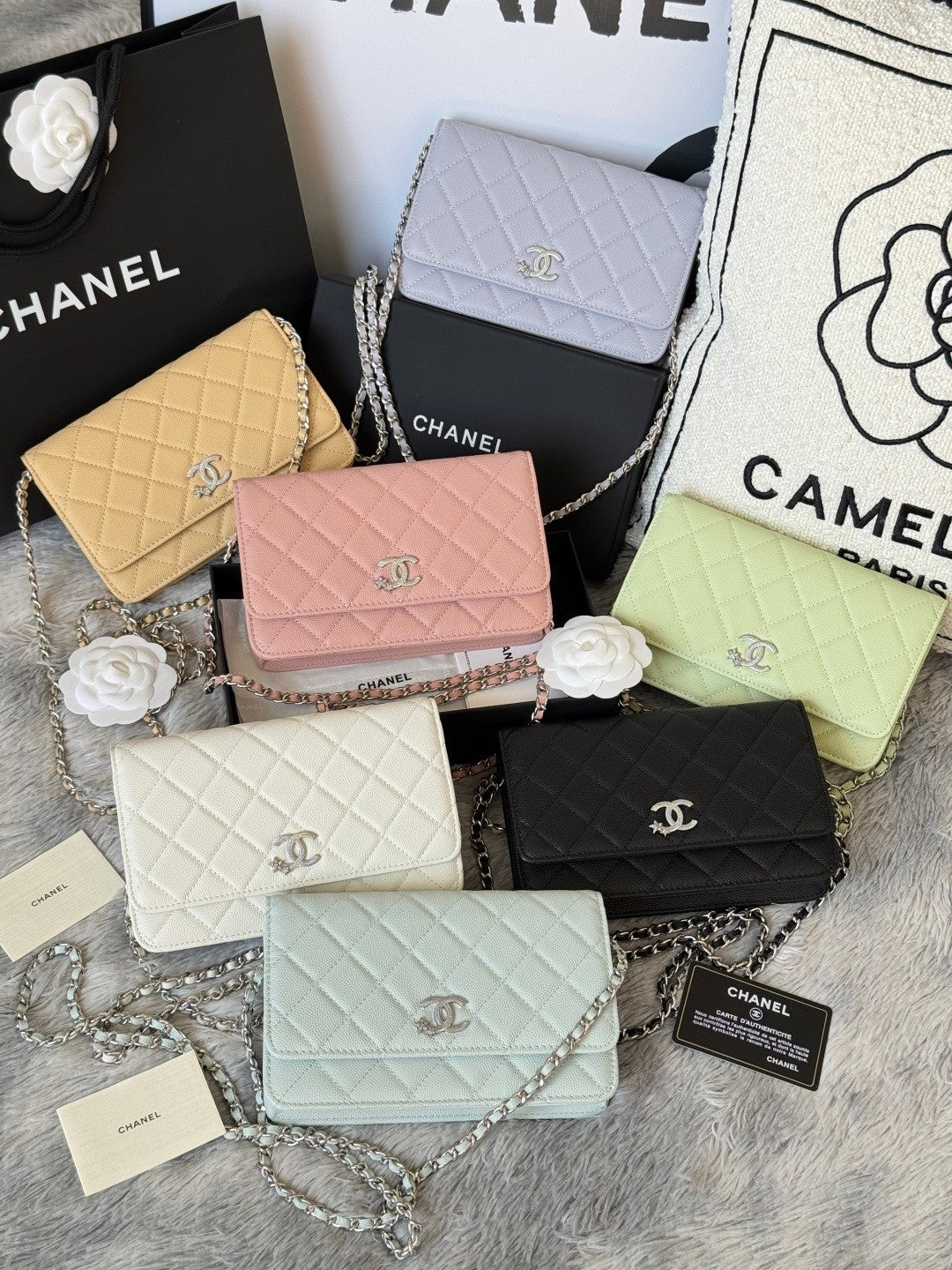 BAG-CHANEL-017