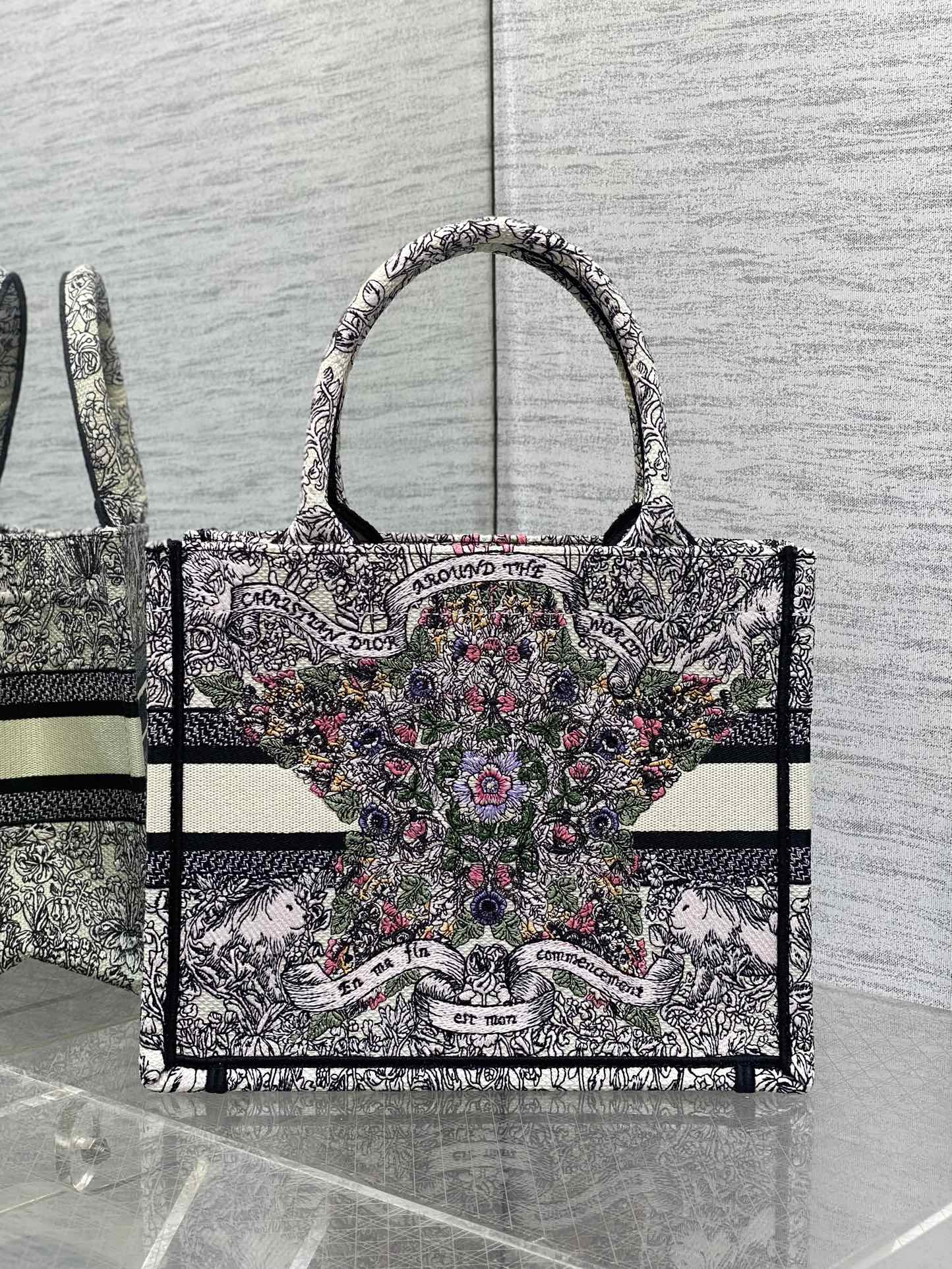 BAG-DIOR-W-LY-842