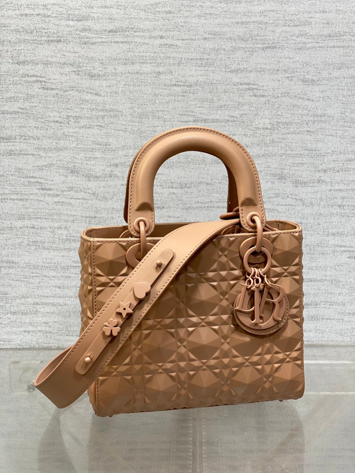 BAG-DIOR-W-LY-557