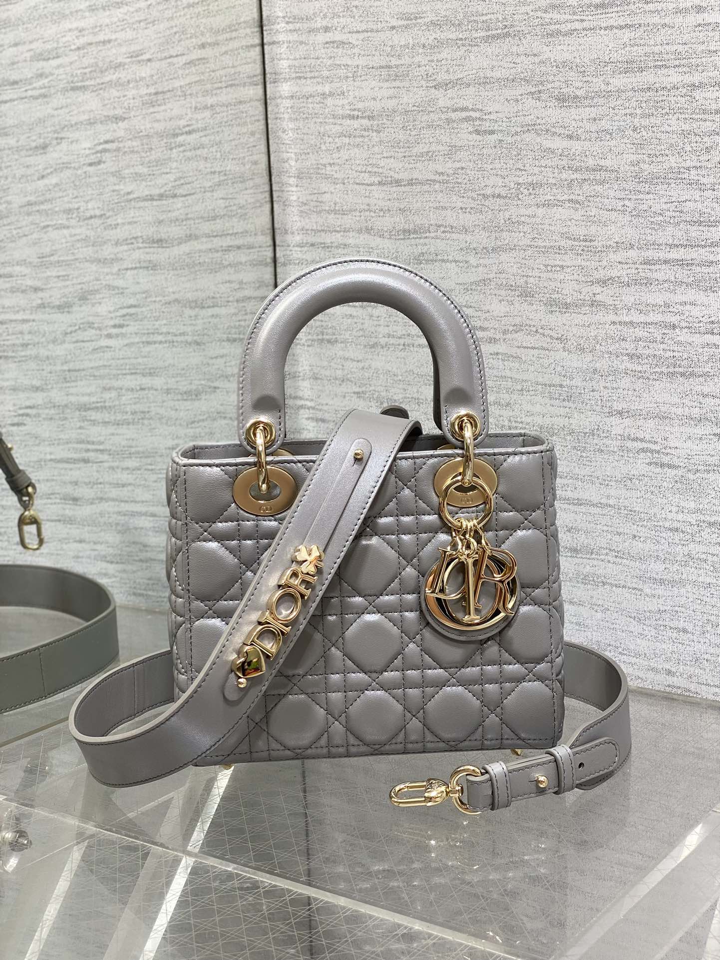 BAG-DIOR-W-LY-542