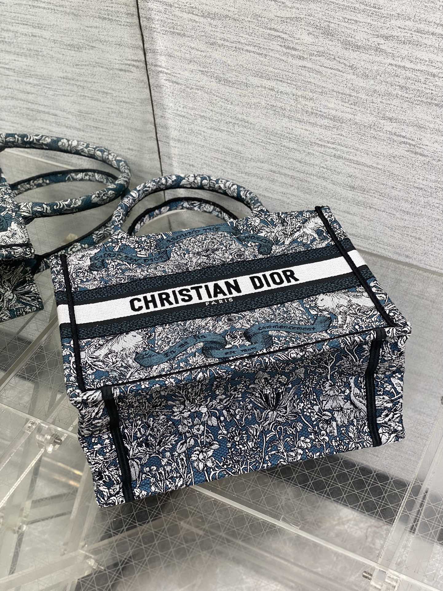 BAG-DIOR-W-LY-845