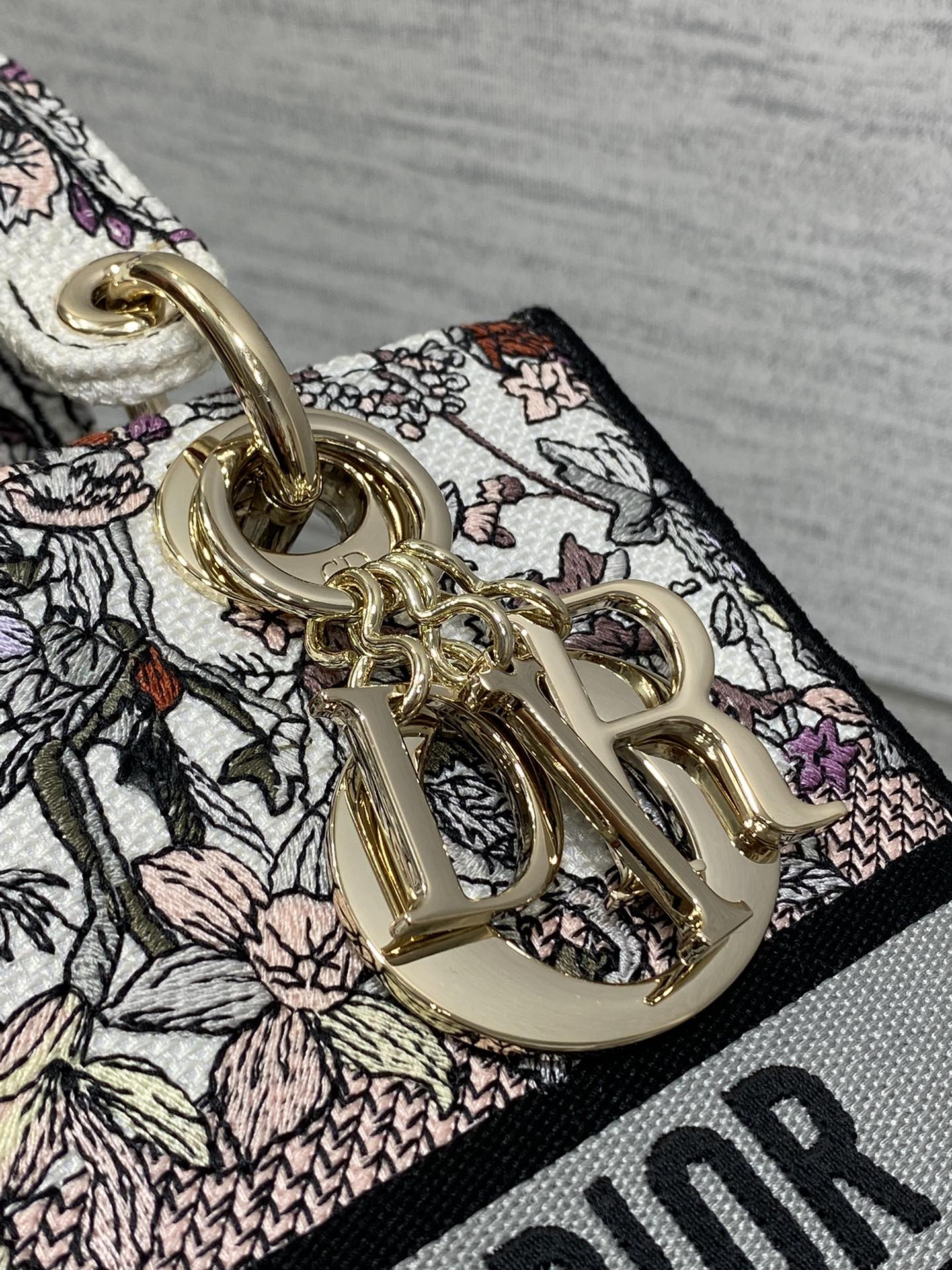 BAG-DIOR-W-LY-072