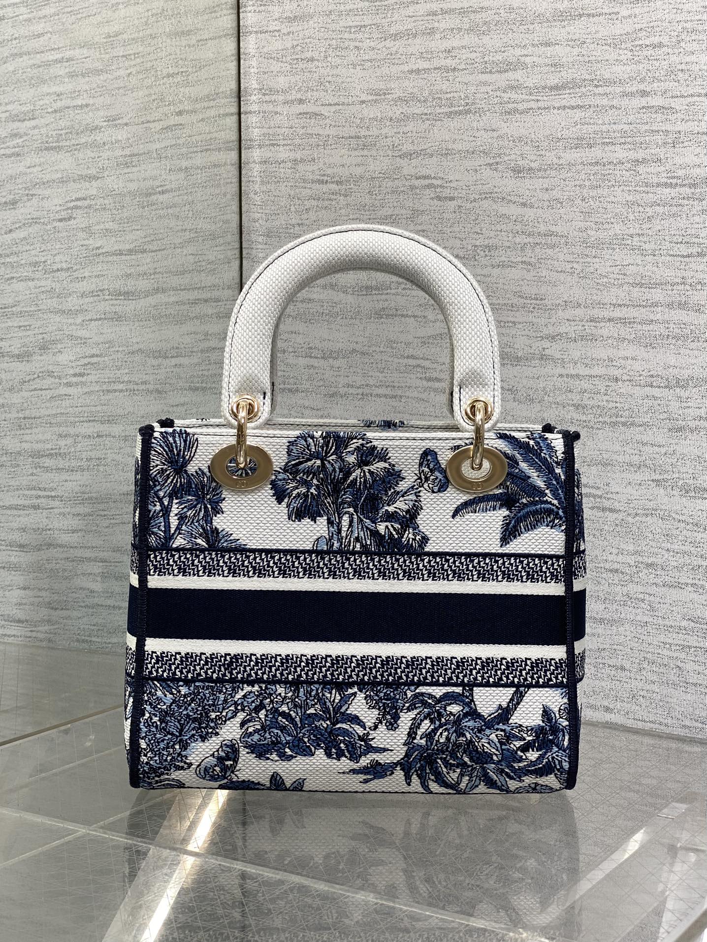BAG-DIOR-W-LY-515