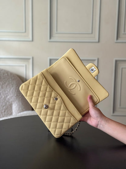 BAG-CHANEL-088