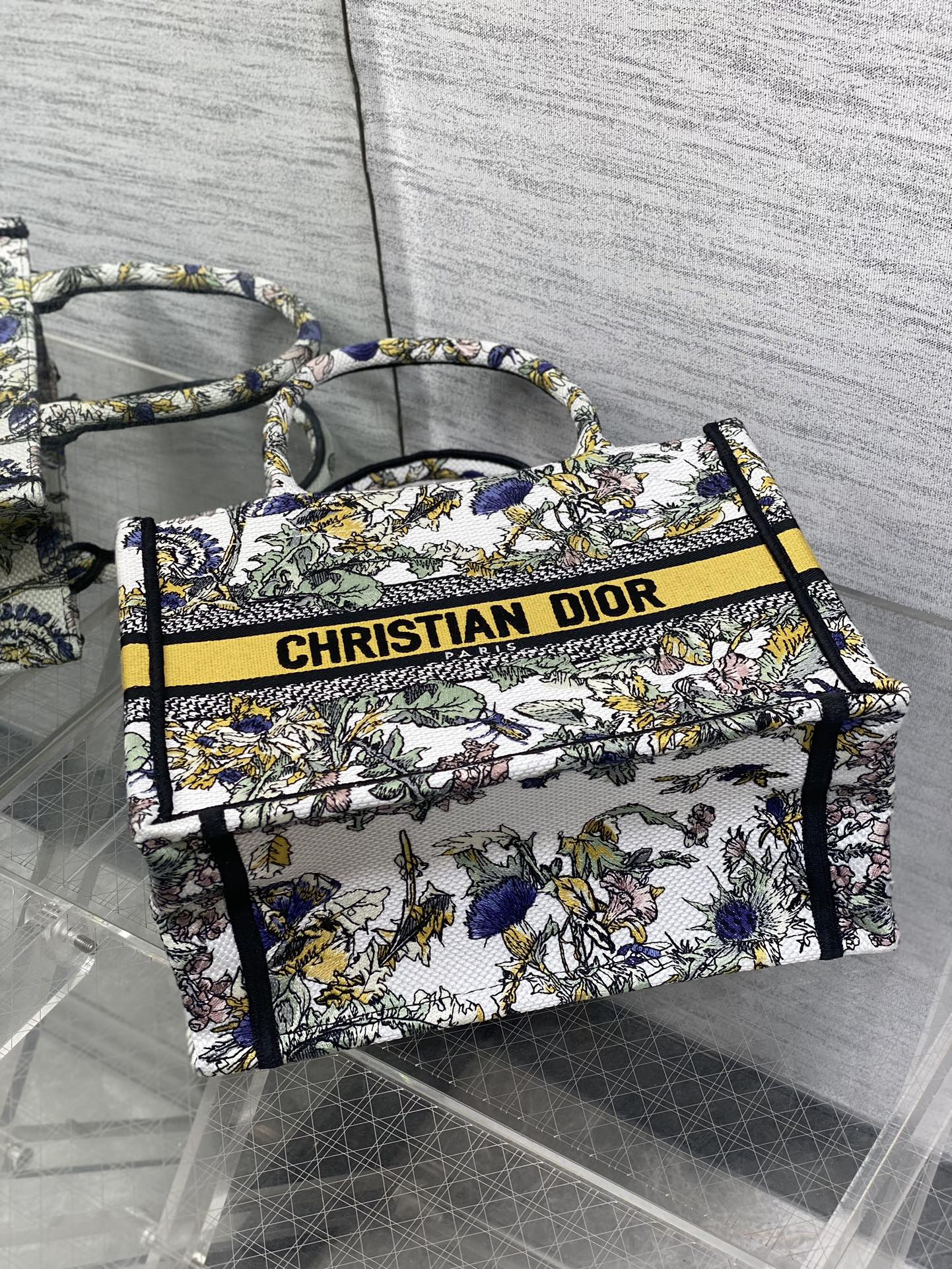 BAG-DIOR-W-LY-860