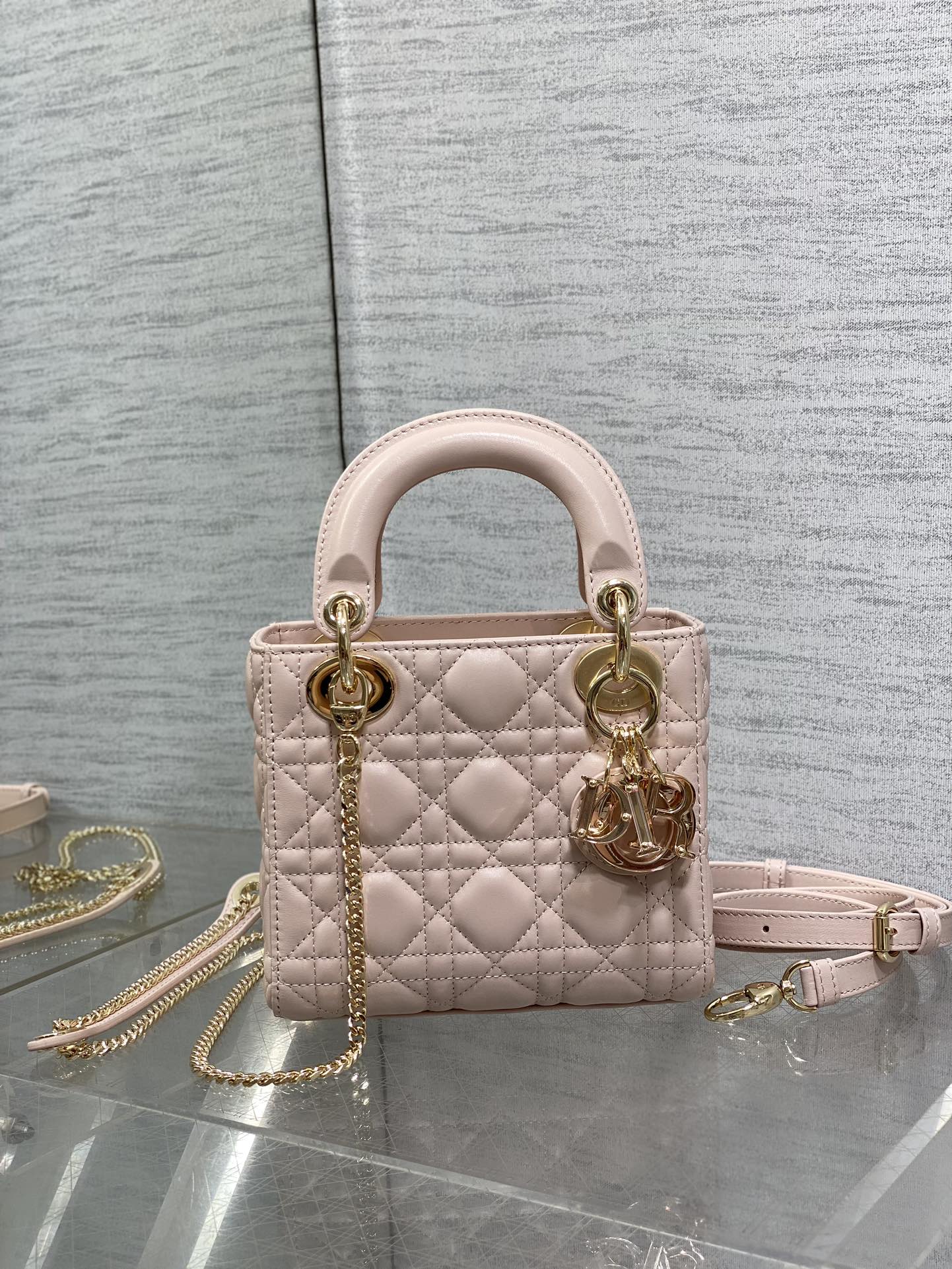BAG-DIOR-W-LY-014