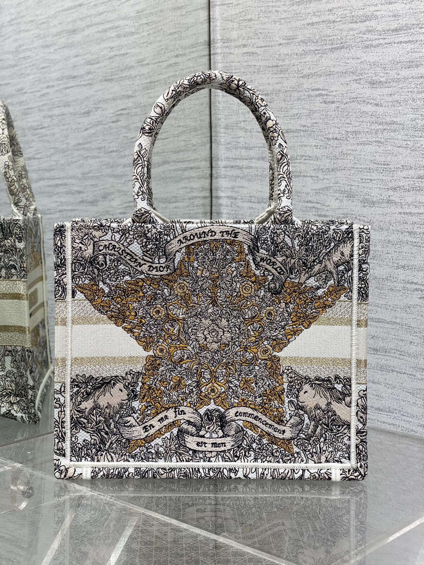 BAG-DIOR-W-LY-820