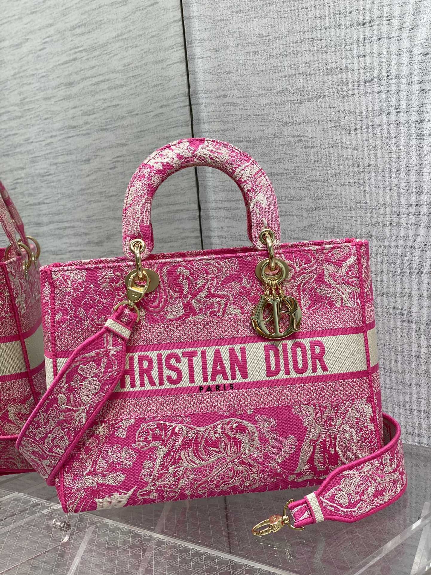 BAG-DIOR-W-LY-080