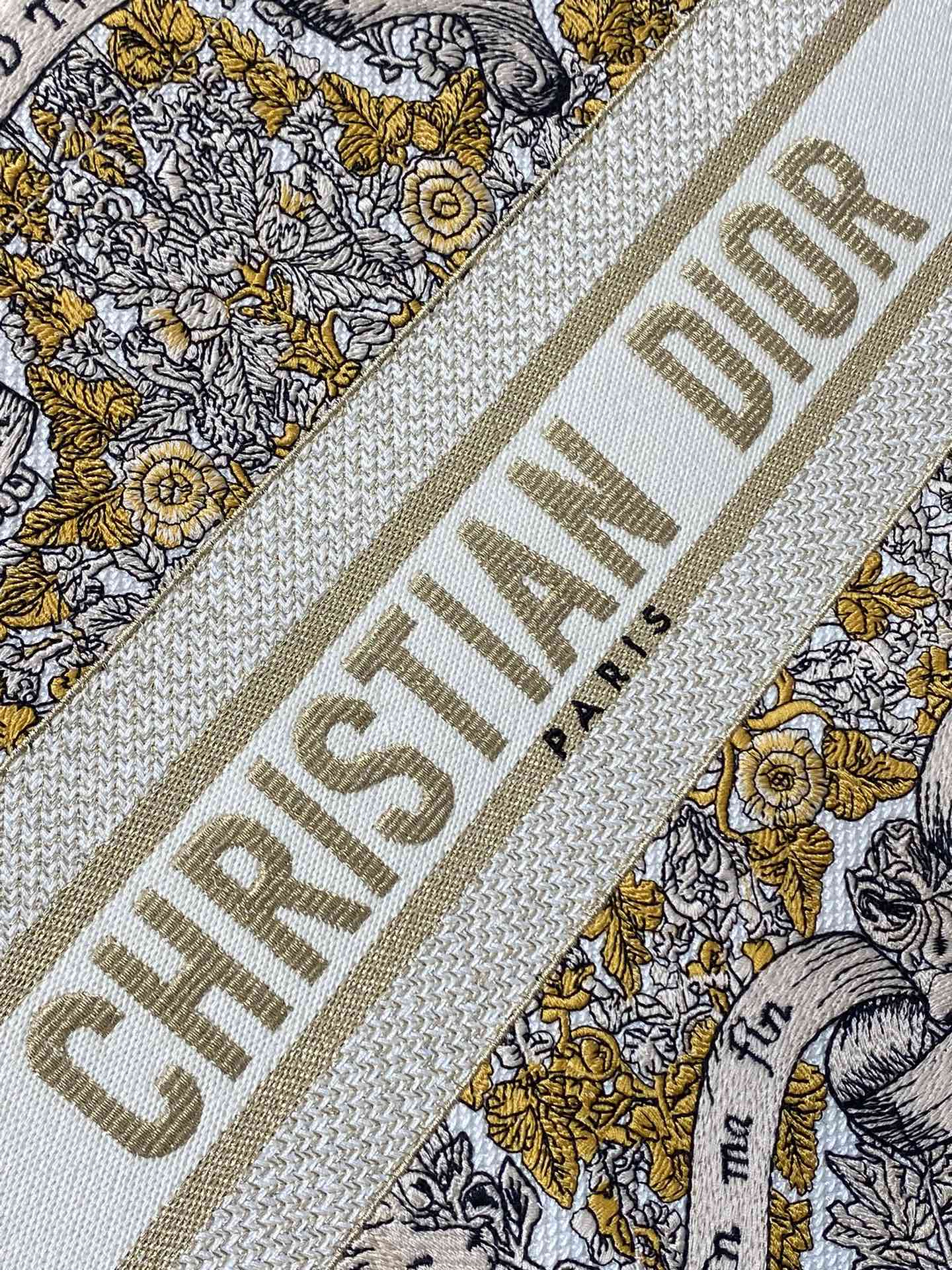 BAG-DIOR-W-LY-849