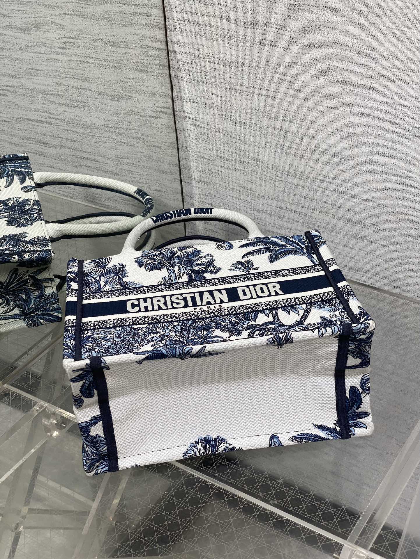 BAG-DIOR-W-LY-938