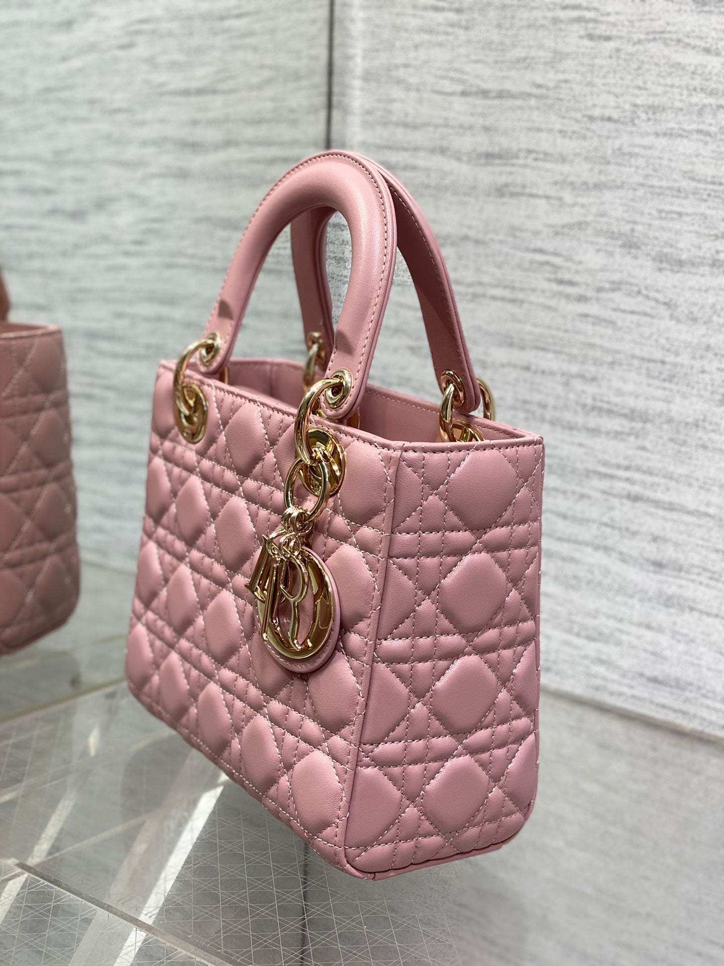 BAG-DIOR-W-LY-664