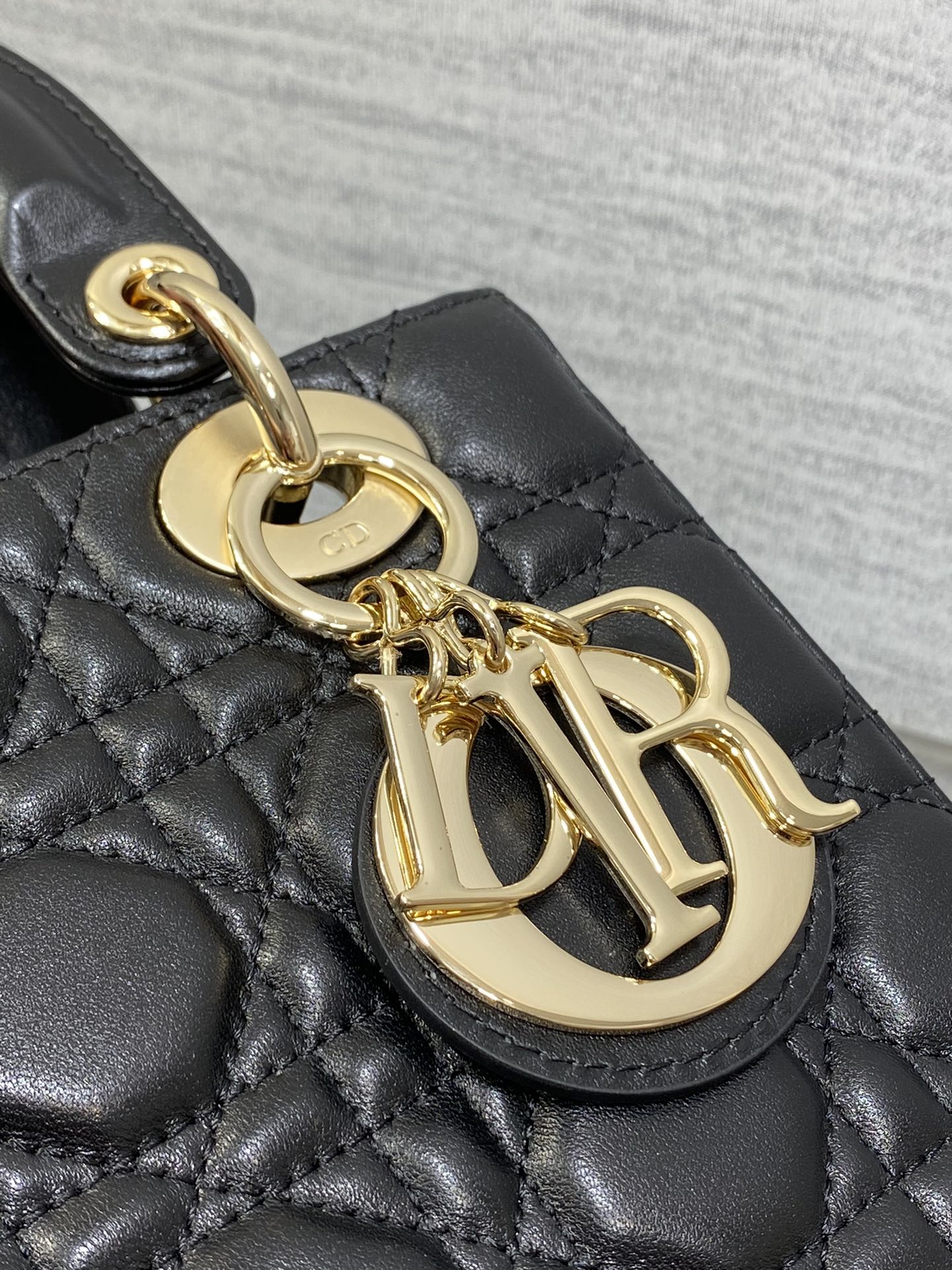 BAG-DIOR-W-LY-163