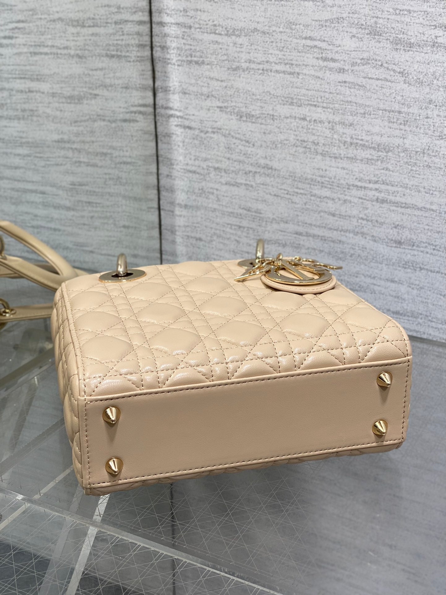 BAG-DIOR-W-LY-769