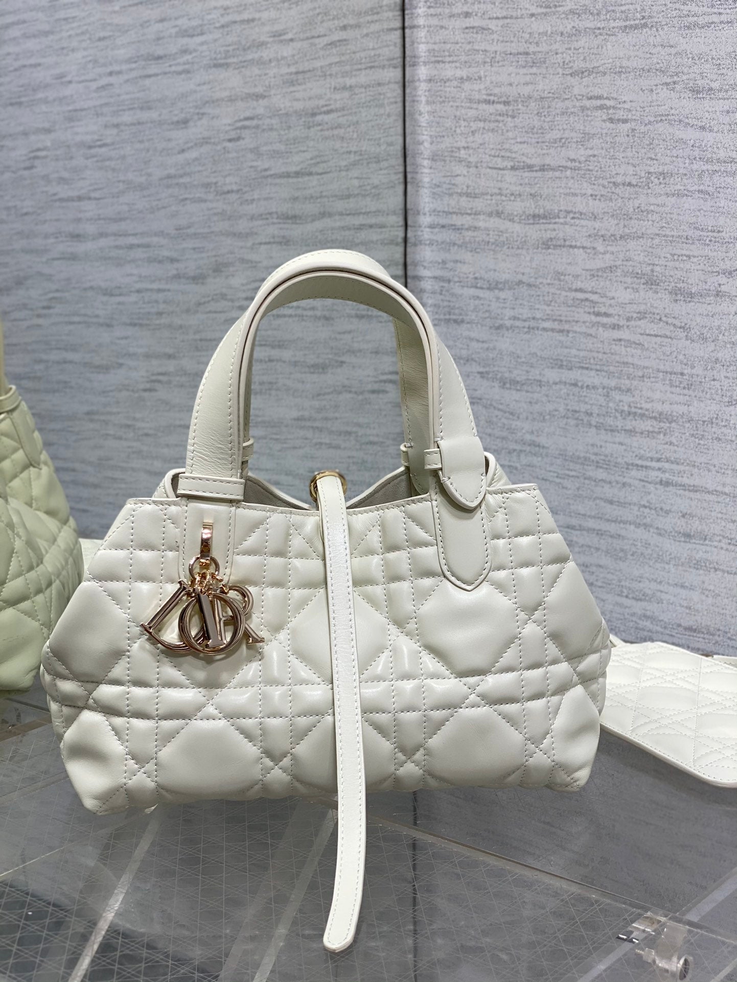 BAG-DIOR-W-LY-053