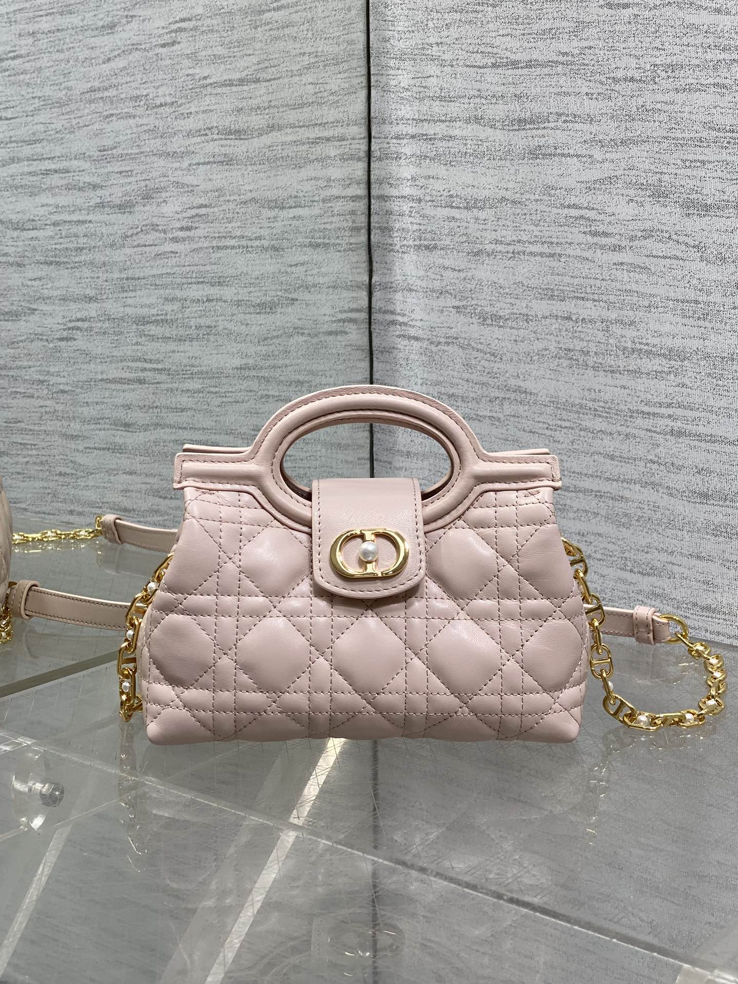 BAG-DIOR-W-LY-019