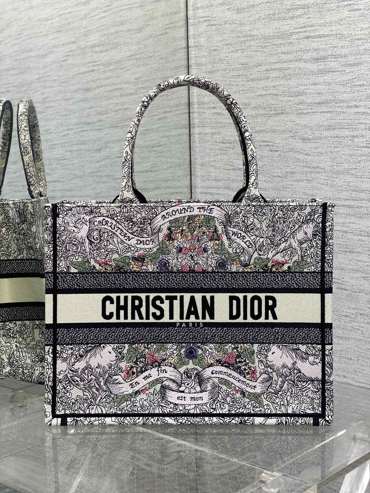 BAG-DIOR-W-LY-843