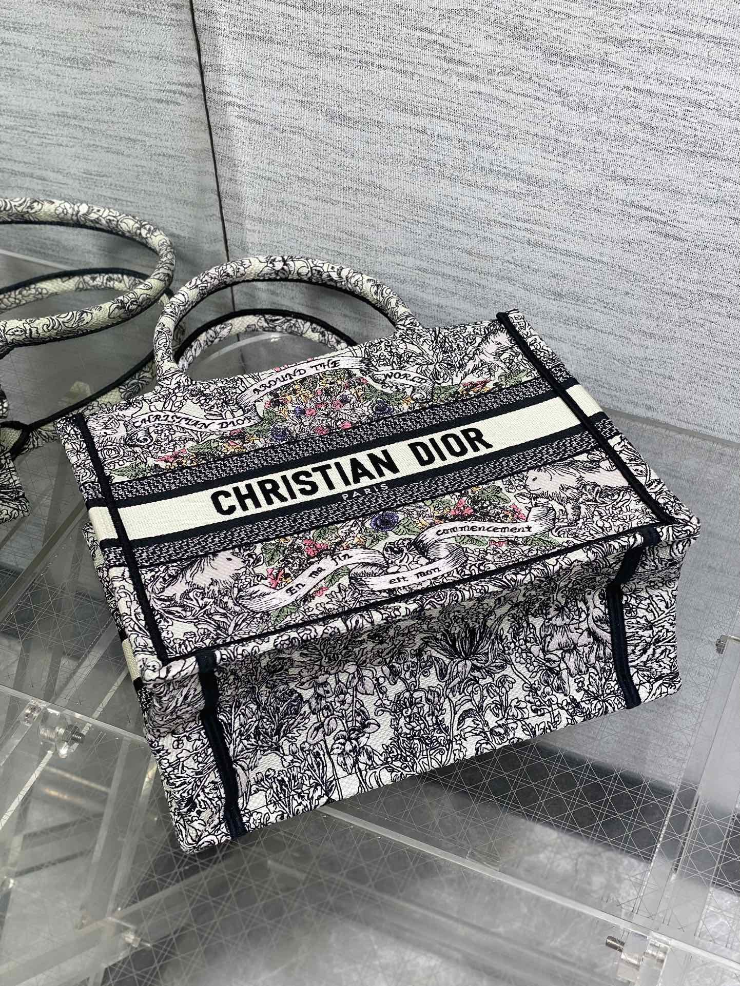 BAG-DIOR-W-LY-842