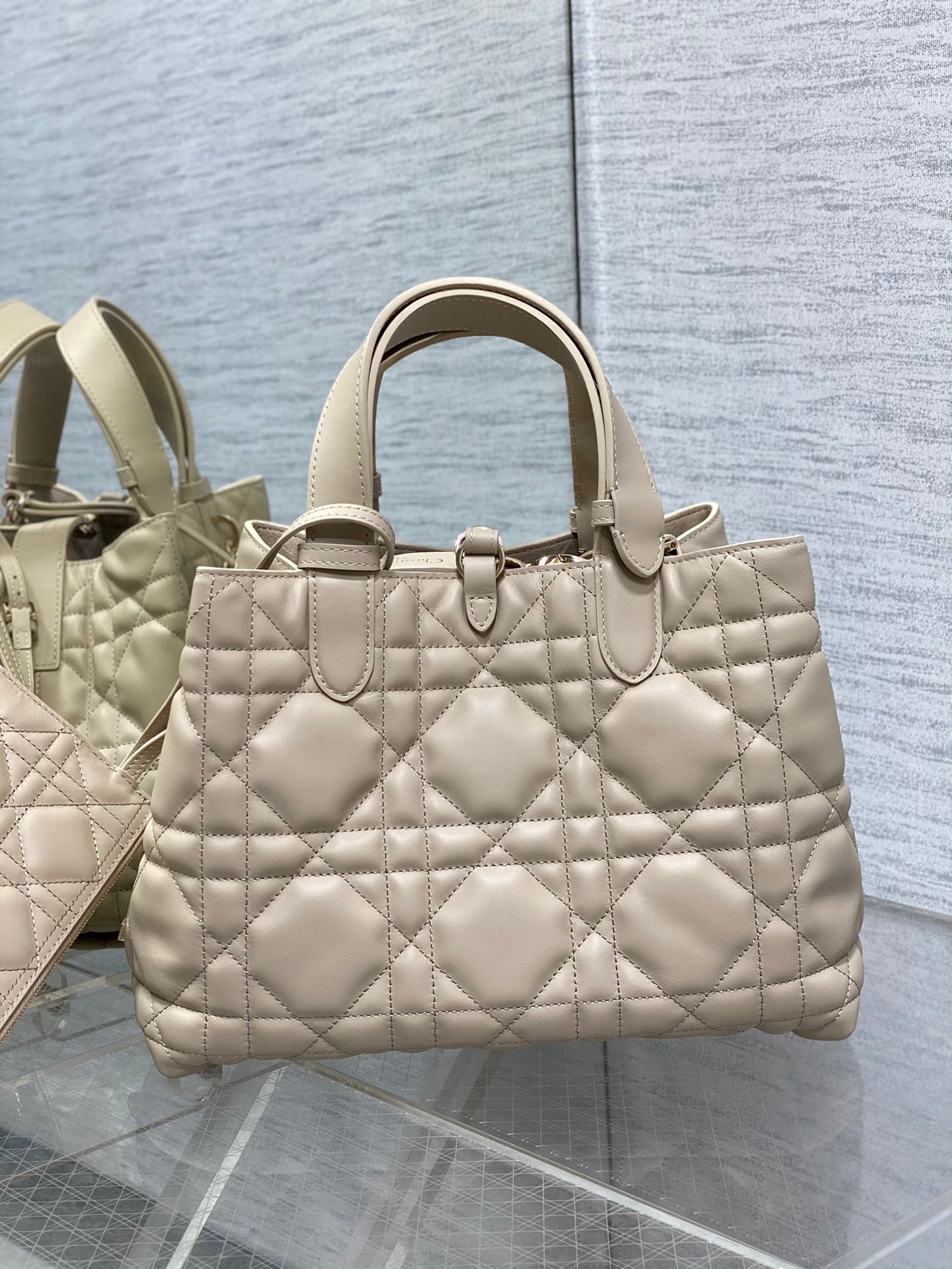 BAG-DIOR-W-LY-182