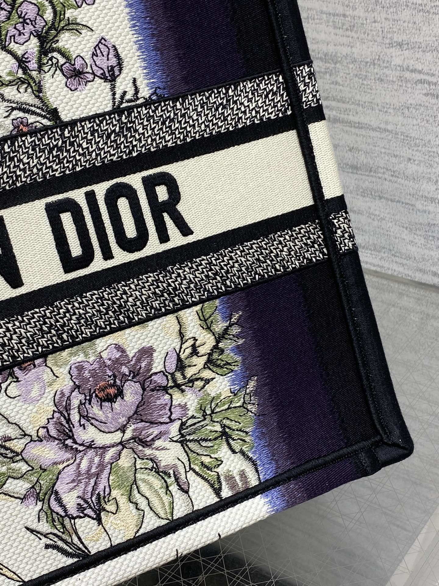 BAG-DIOR-W-LY-205