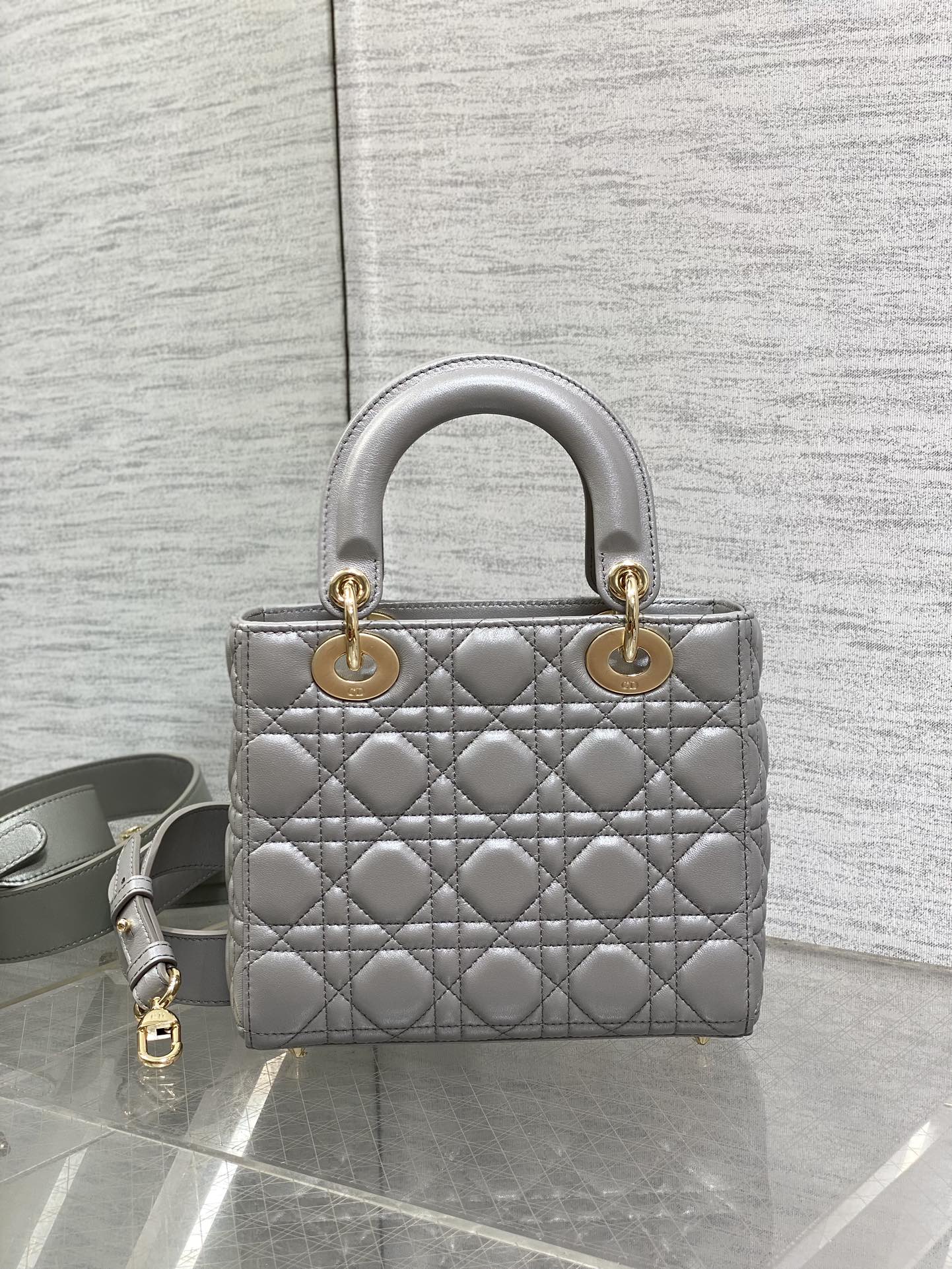 BAG-DIOR-W-LY-542