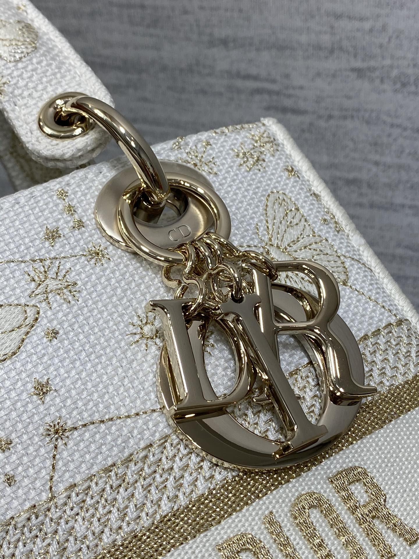 BAG-DIOR-W-LY-448