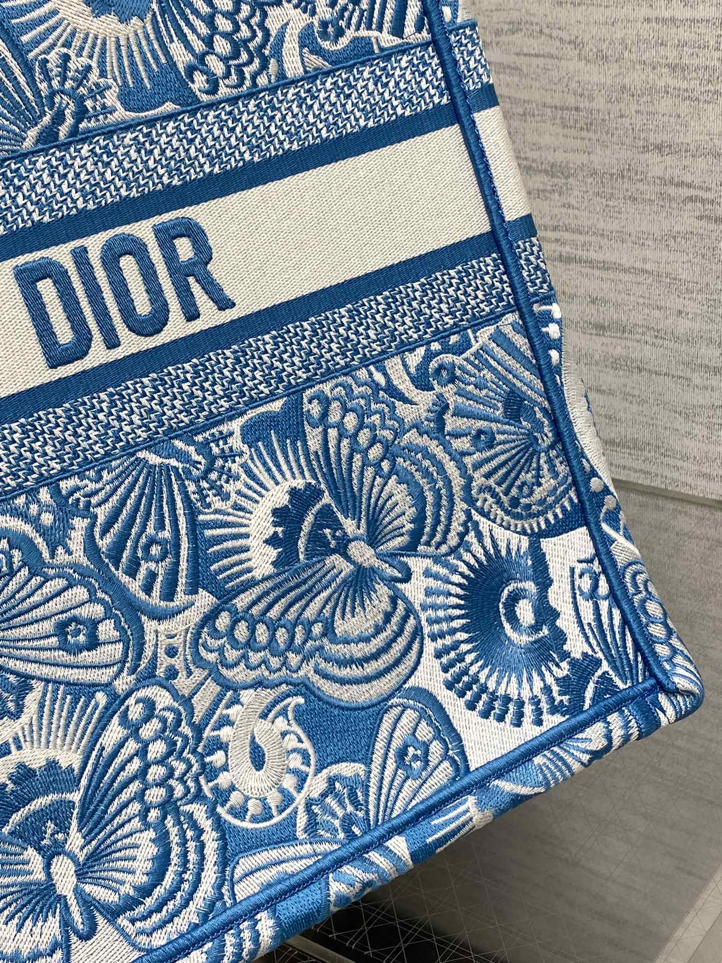 BAG-DIOR-W-LY-916
