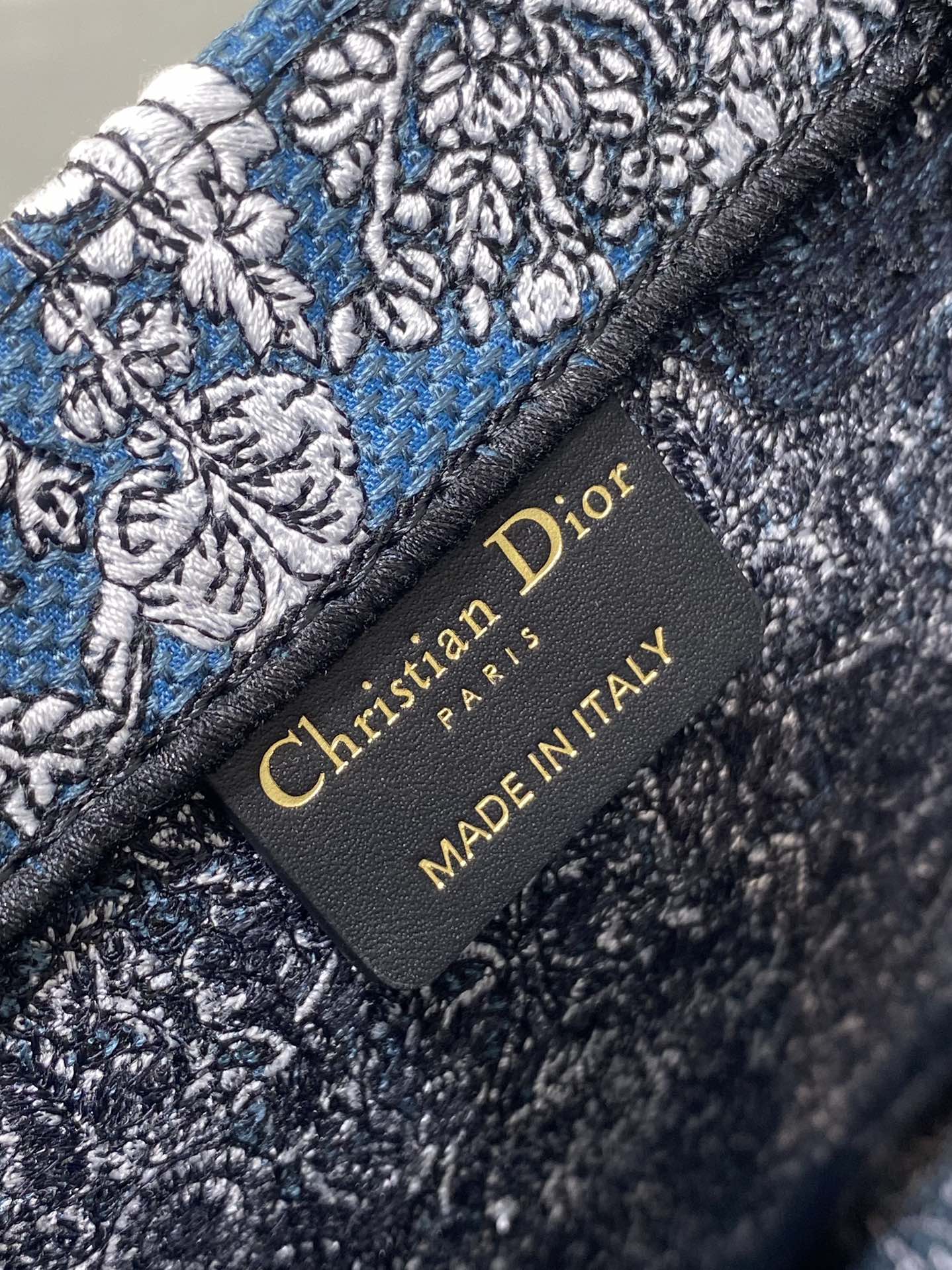 BAG-DIOR-W-LY-845