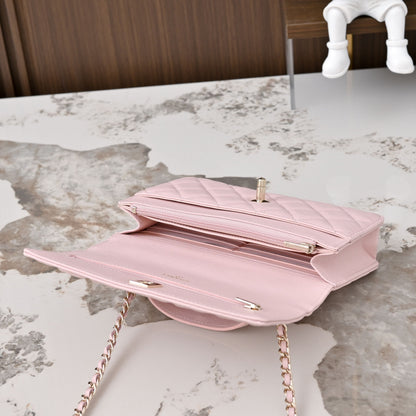 BAG-CHANEL-061