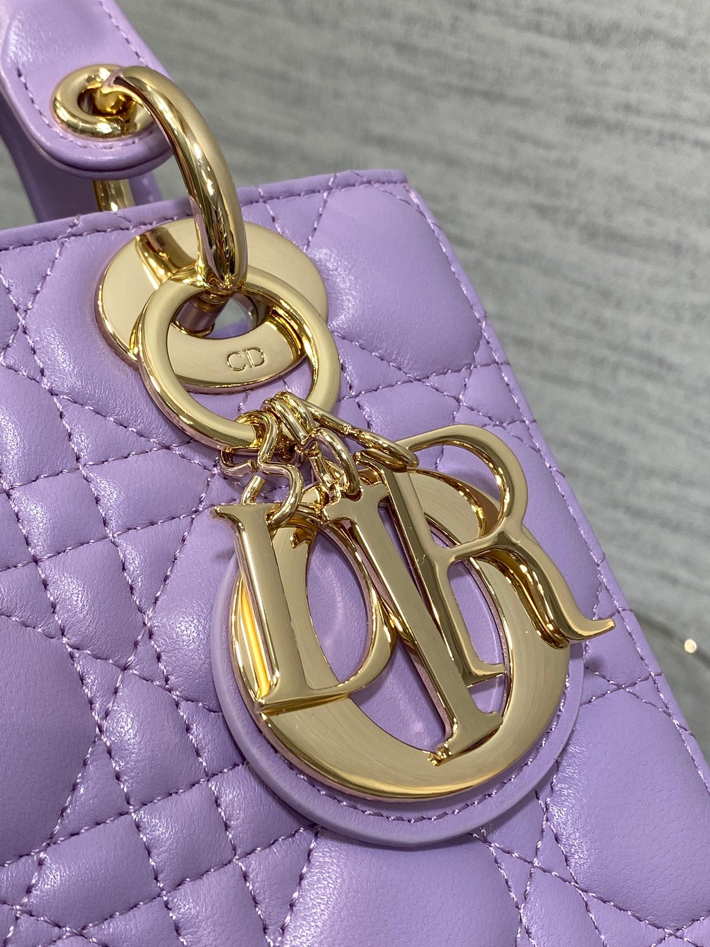 BAG-DIOR-W-LY-771