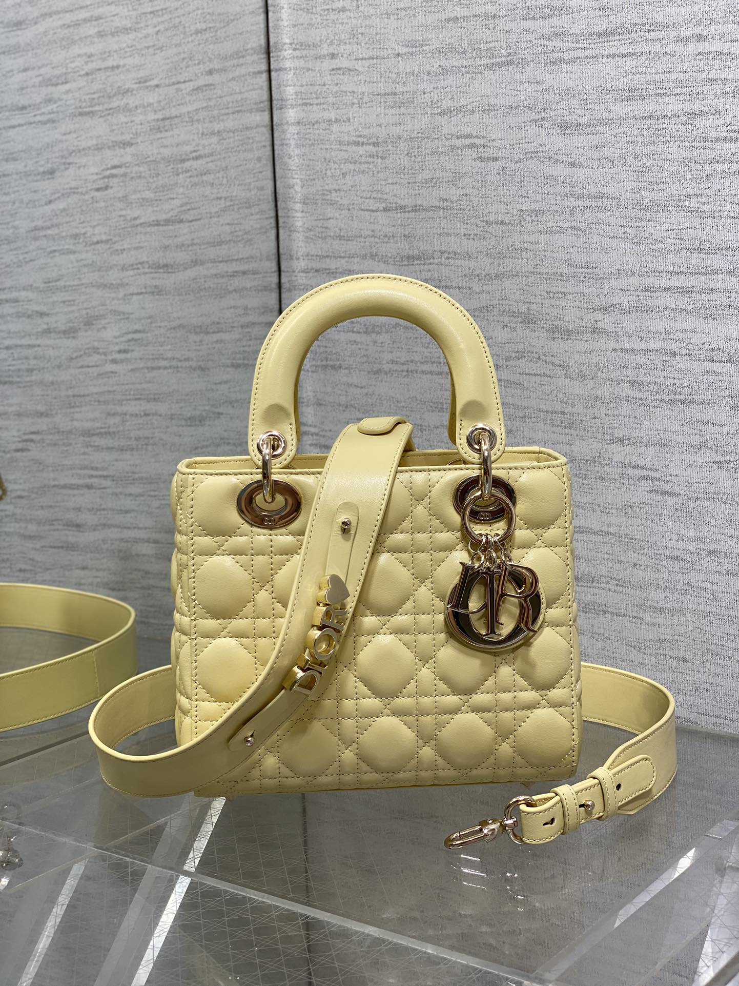 BAG-DIOR-W-LY-559