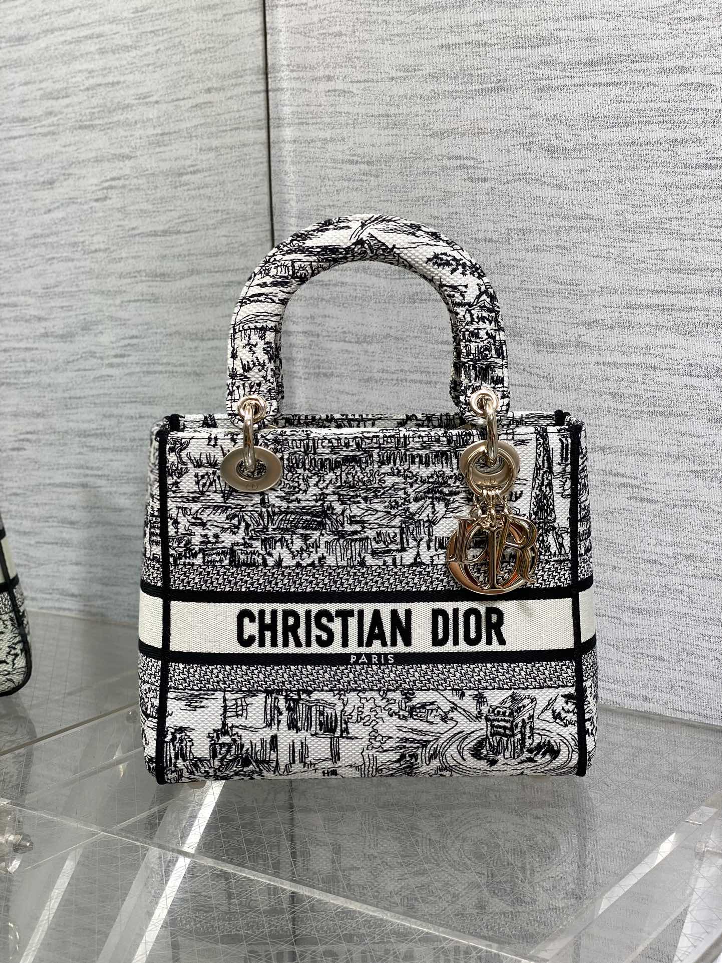 BAG-DIOR-W-LY-491