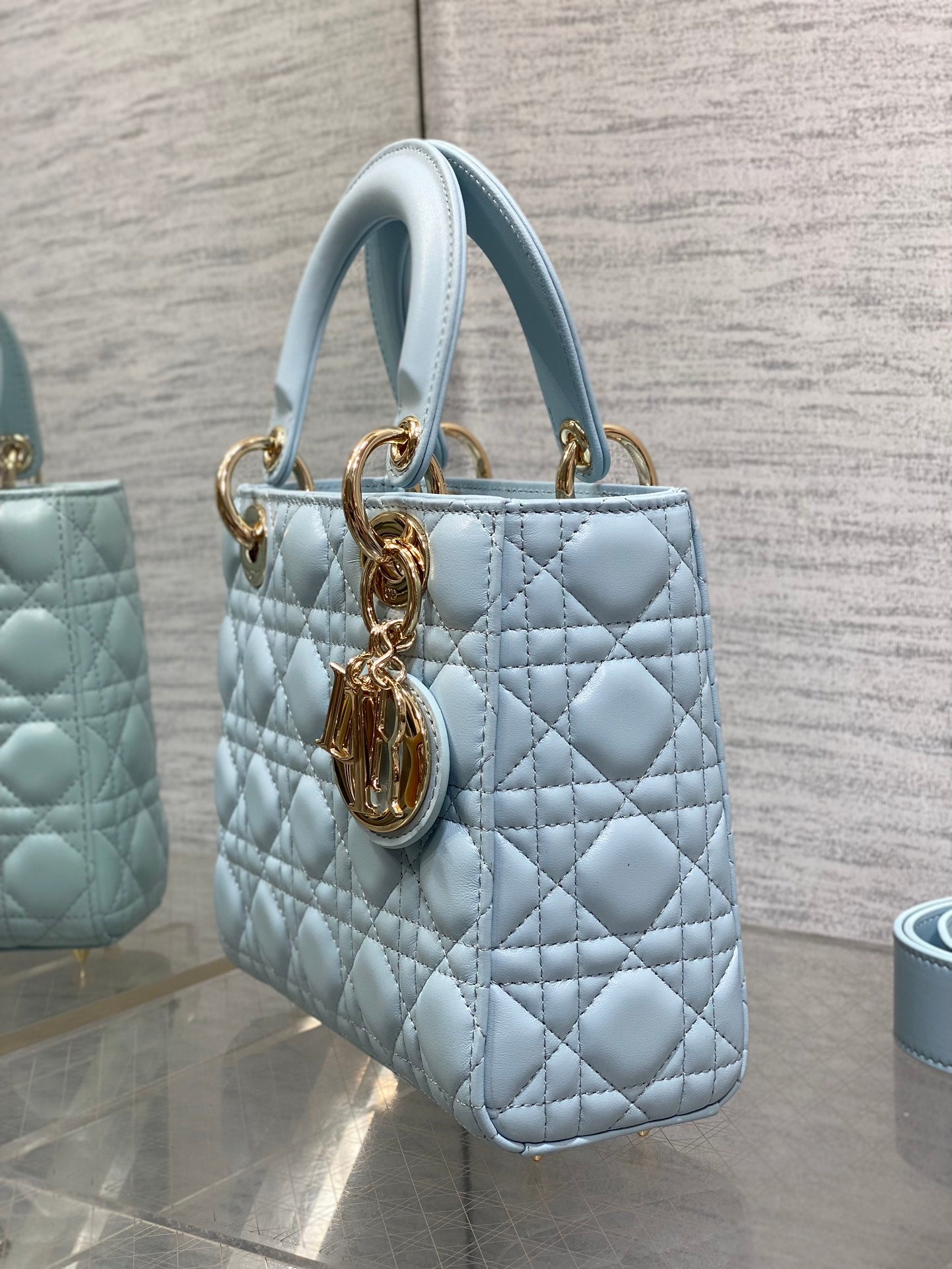 BAG-DIOR-W-LY-768
