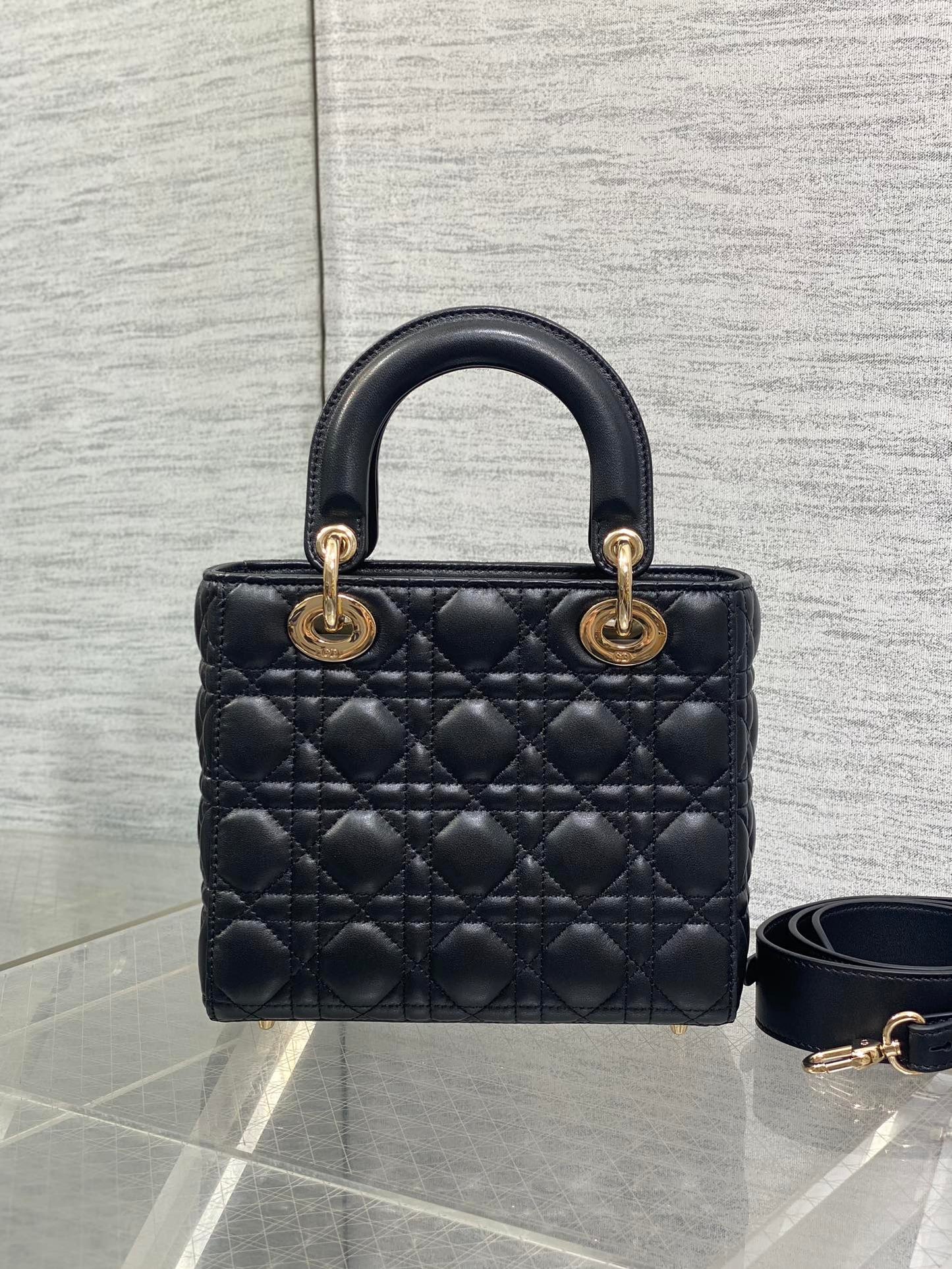 BAG-DIOR-W-LY-699
