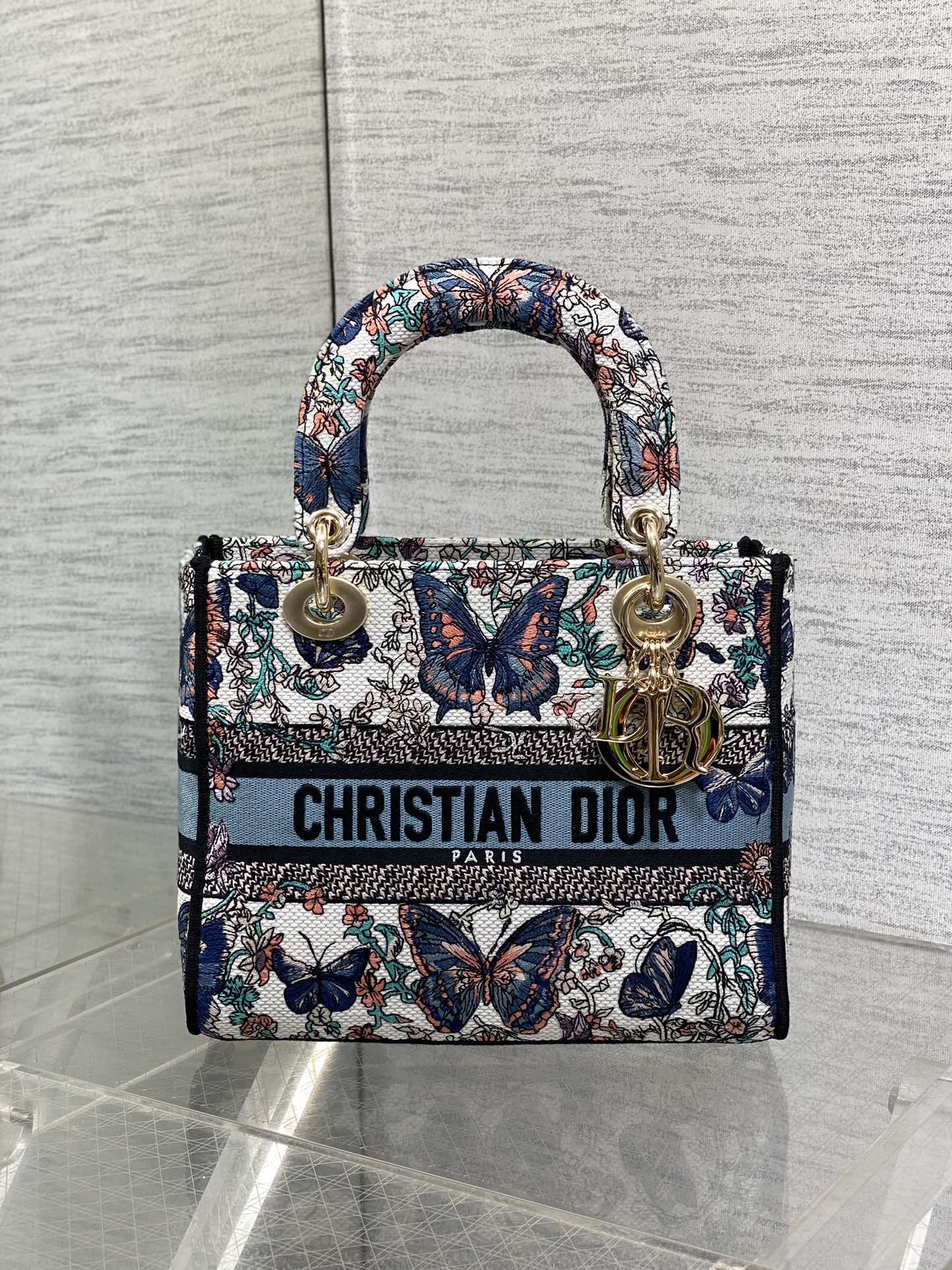 BAG-DIOR-W-LY-505