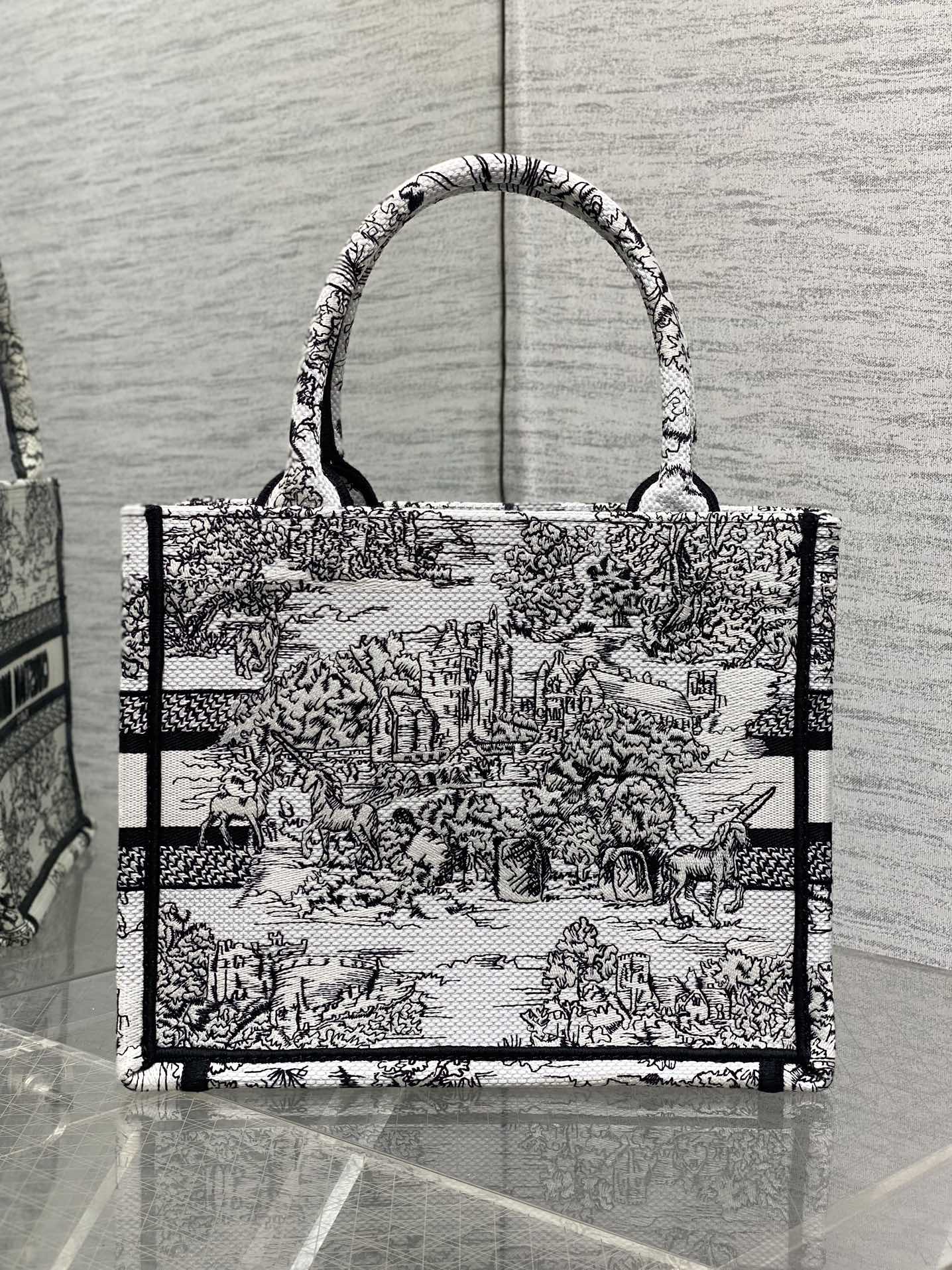 BAG-DIOR-W-LY-862