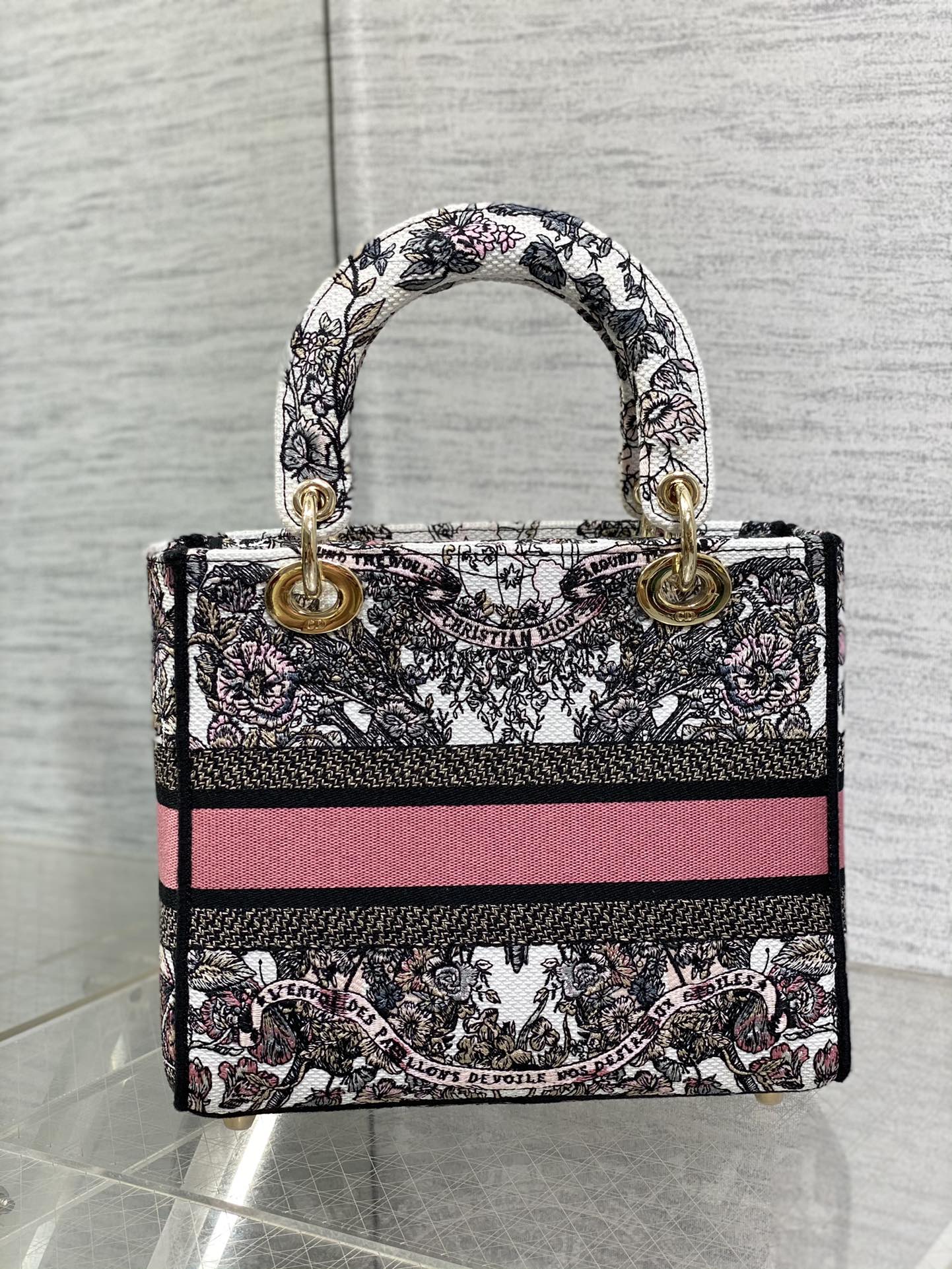 BAG-DIOR-W-LY-082