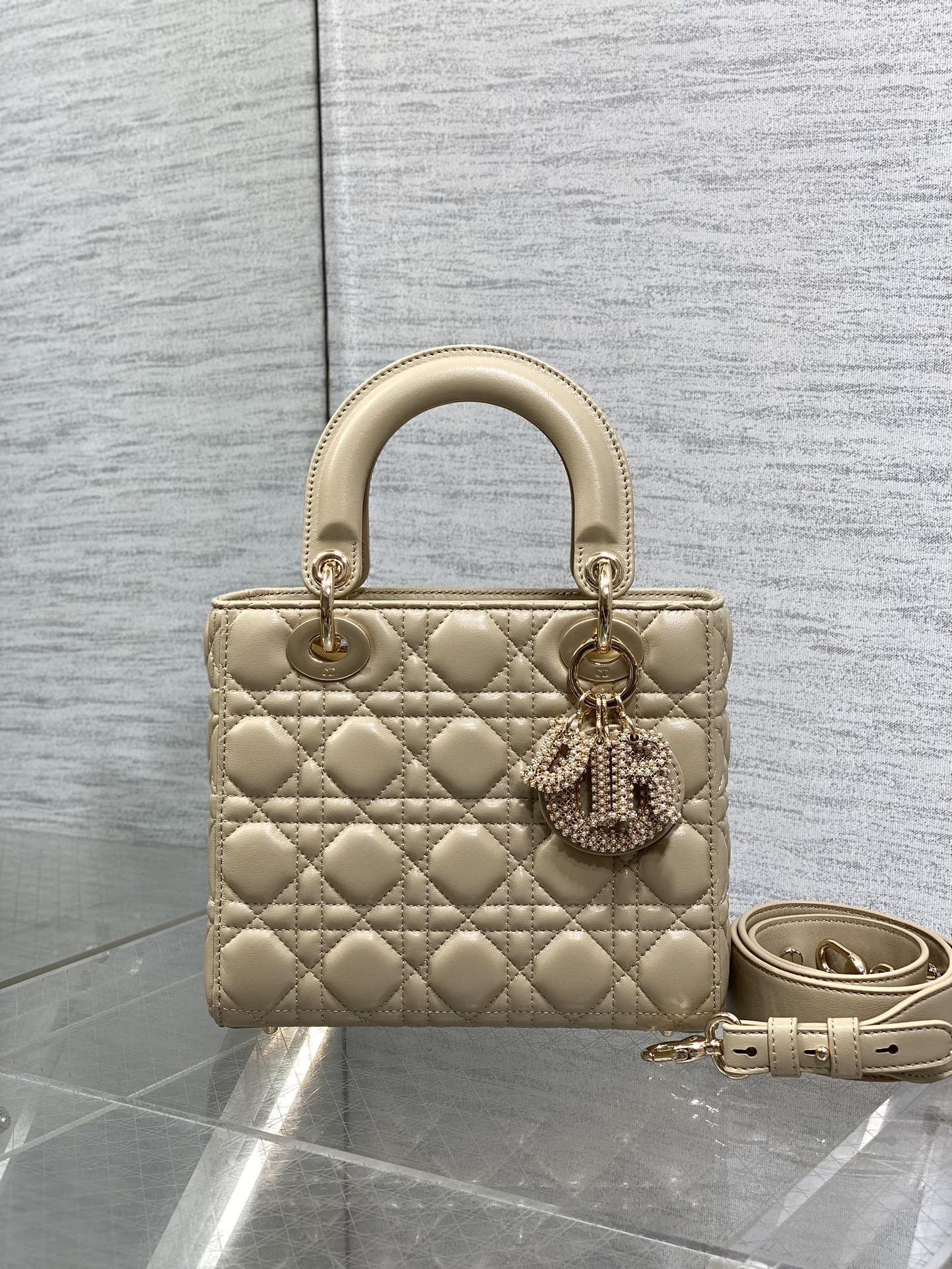 BAG-DIOR-W-LY-737