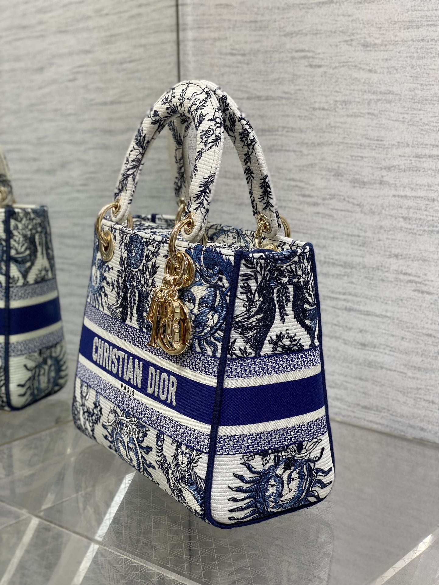 BAG-DIOR-W-LY-454