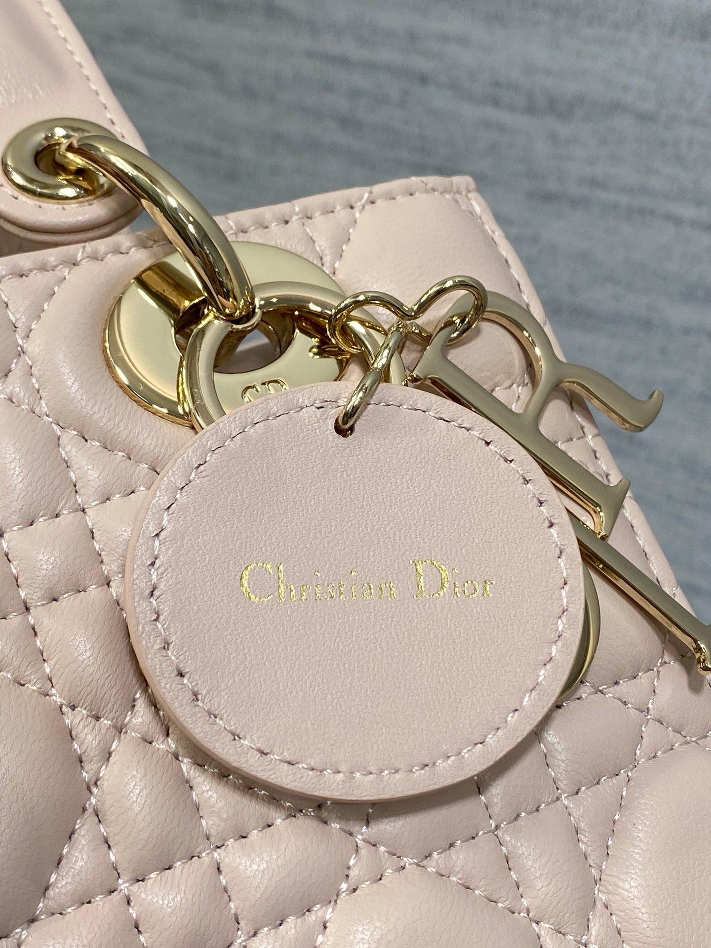 BAG-DIOR-W-LY-767