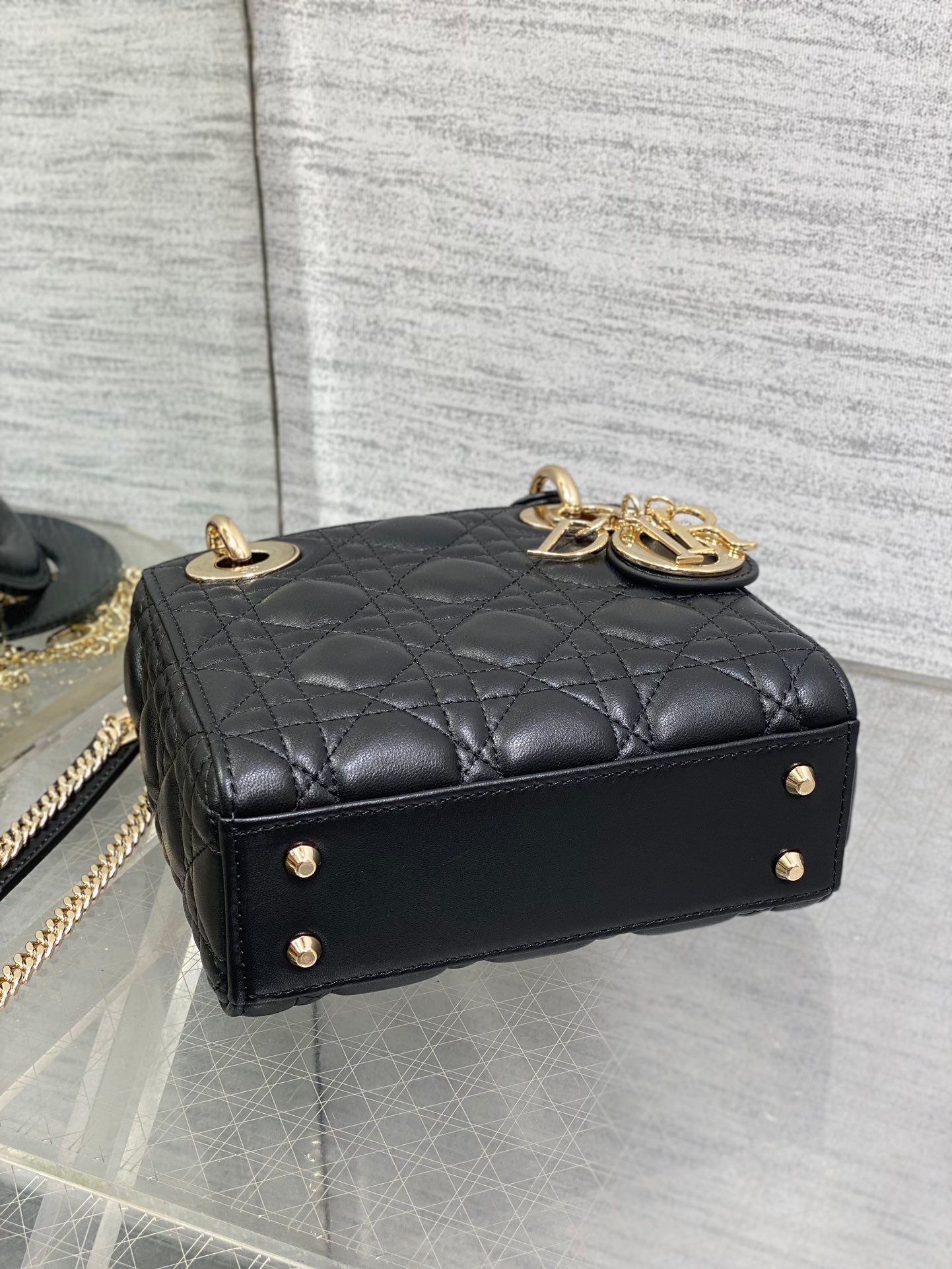 BAG-DIOR-W-LY-746